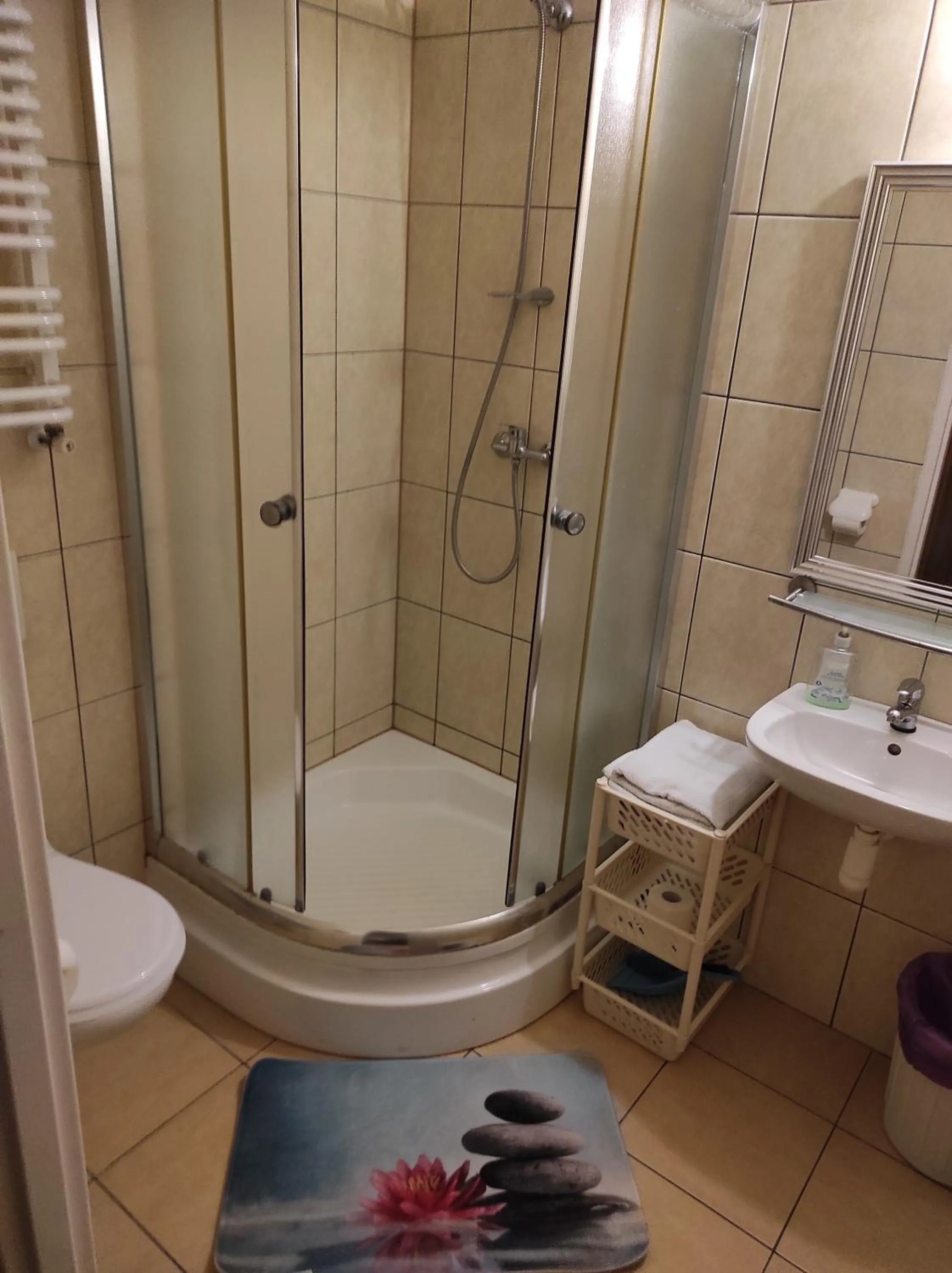 Toilet in Pod Różą B&B