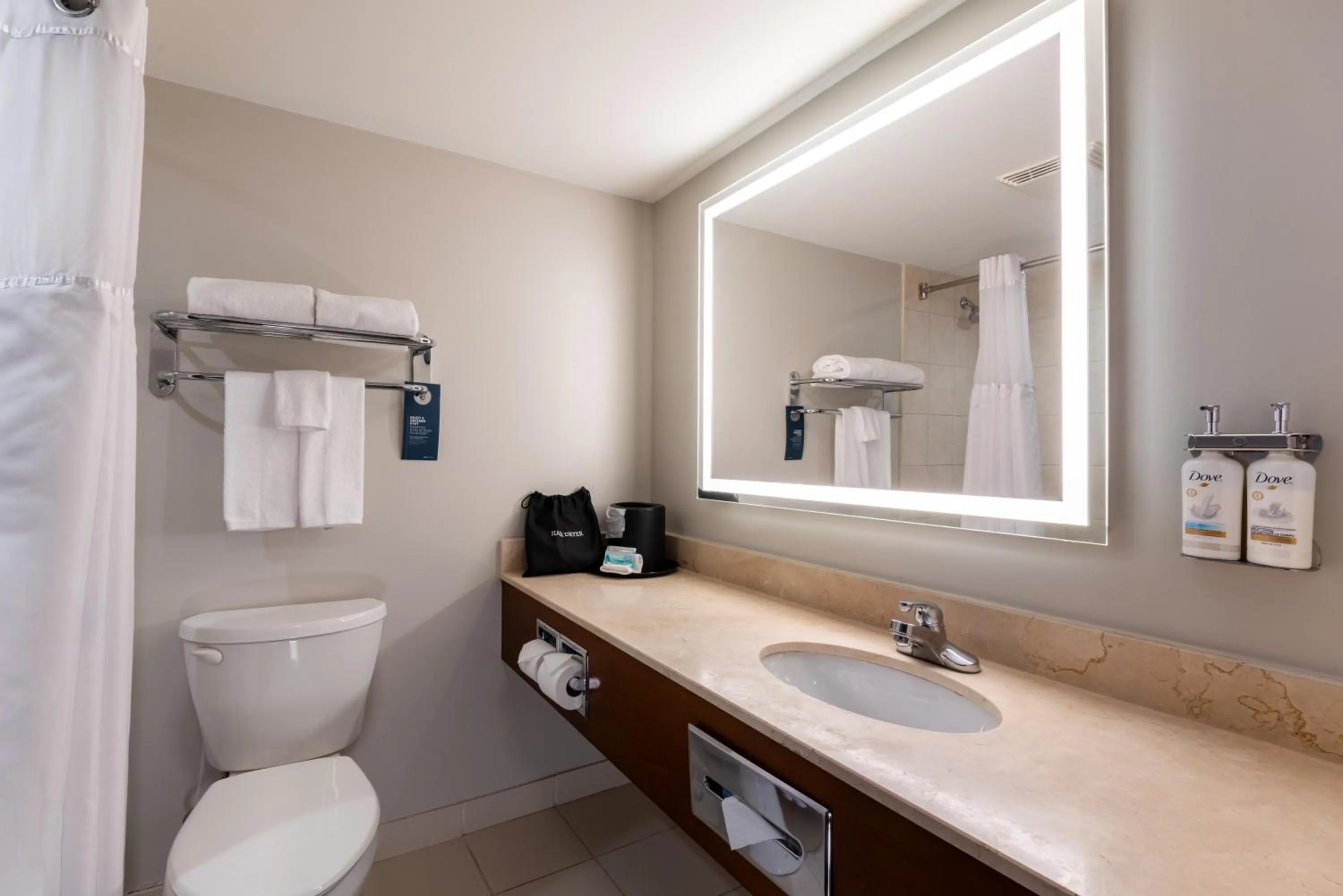 Holiday Inn Hotel & Suites London by IHG