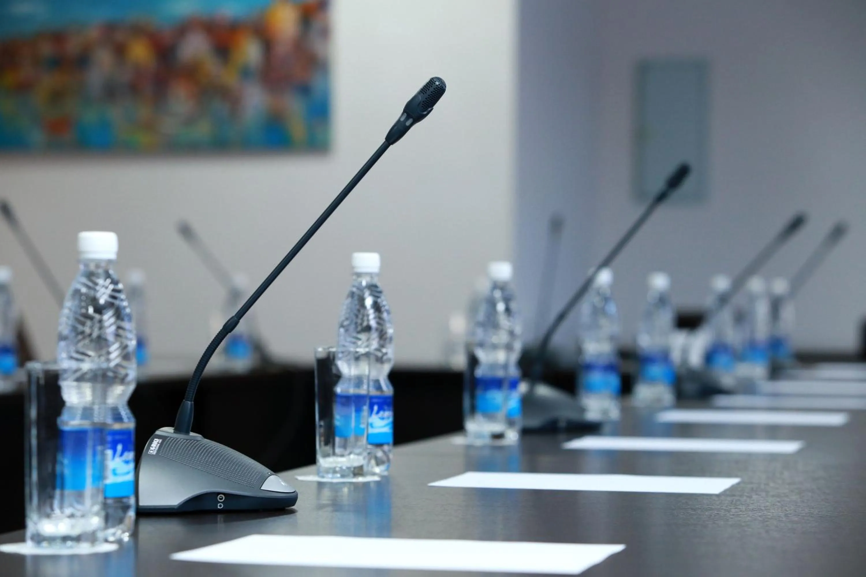 Business facilities in Soluxe Hotel