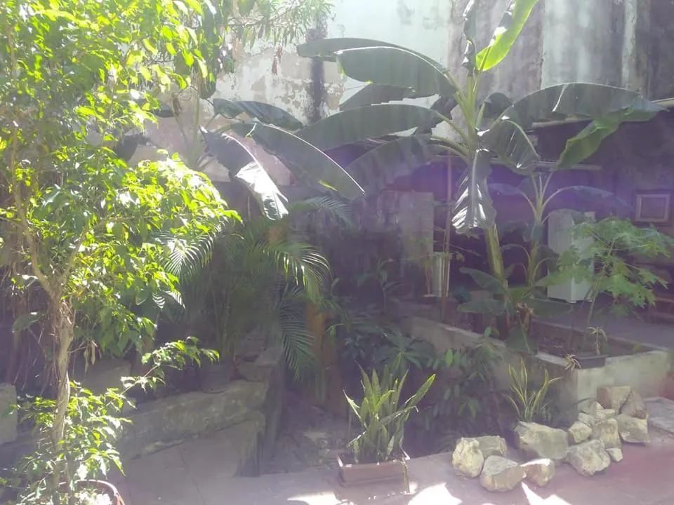 Fusion Guesthouse