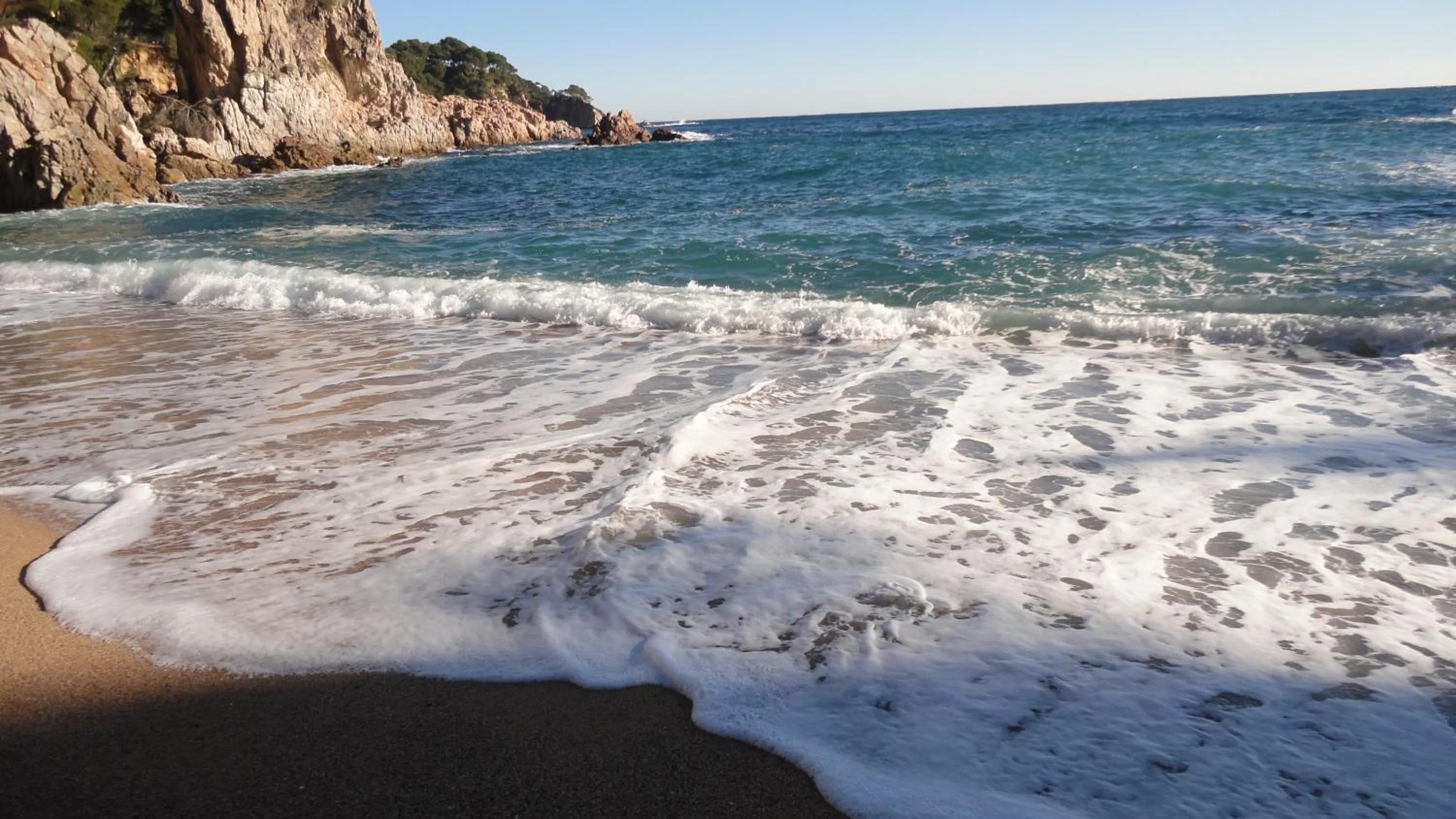 Beach in Hotel BlauMar Llafranc