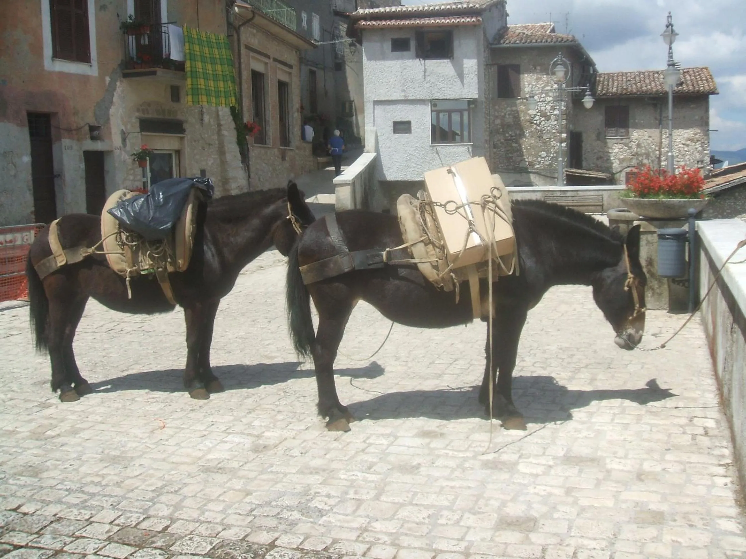 Decorative detail in B&B Dell' Artista