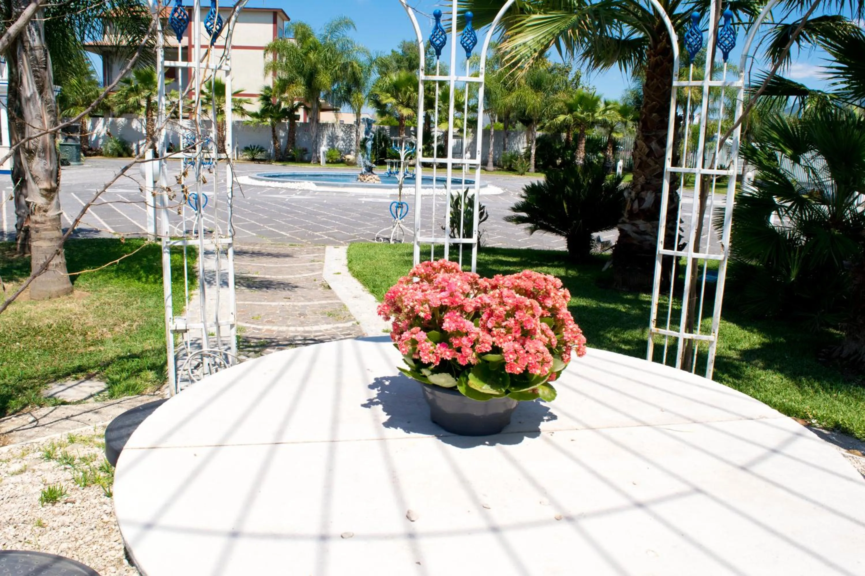 Garden in Hotel The Queen