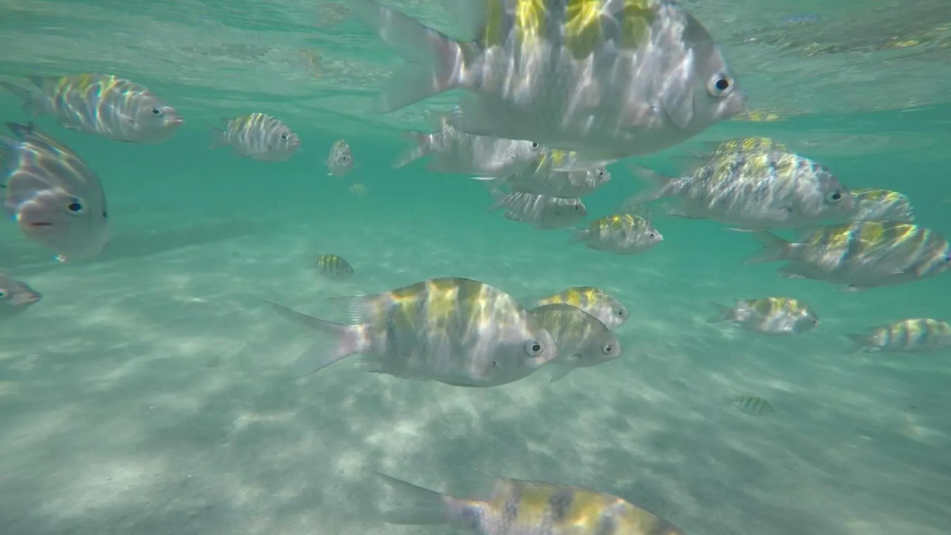 Natural landscape in Apart-Hotel Bella Vida Suítes e Apartamentos