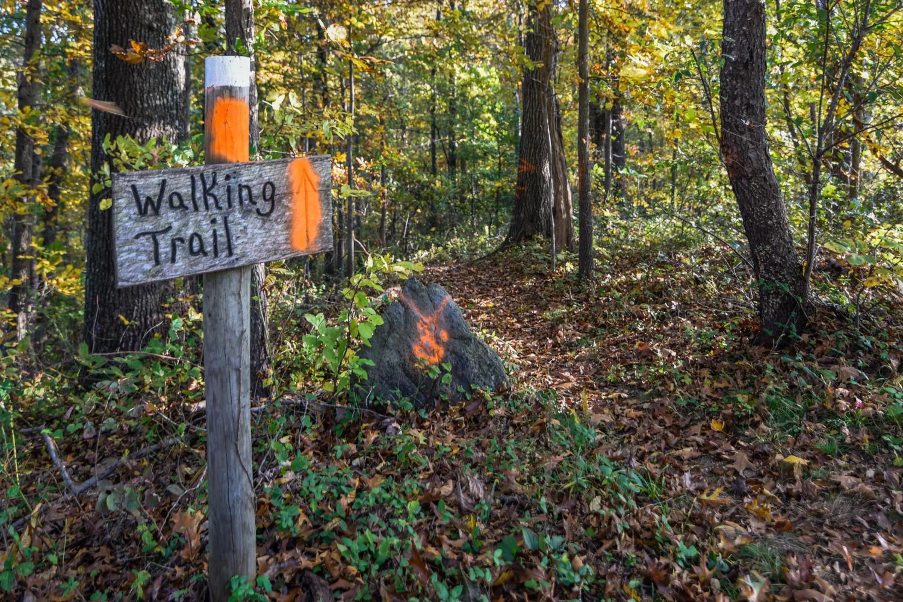 Natural landscape in Goodstone Inn & Restaurant
