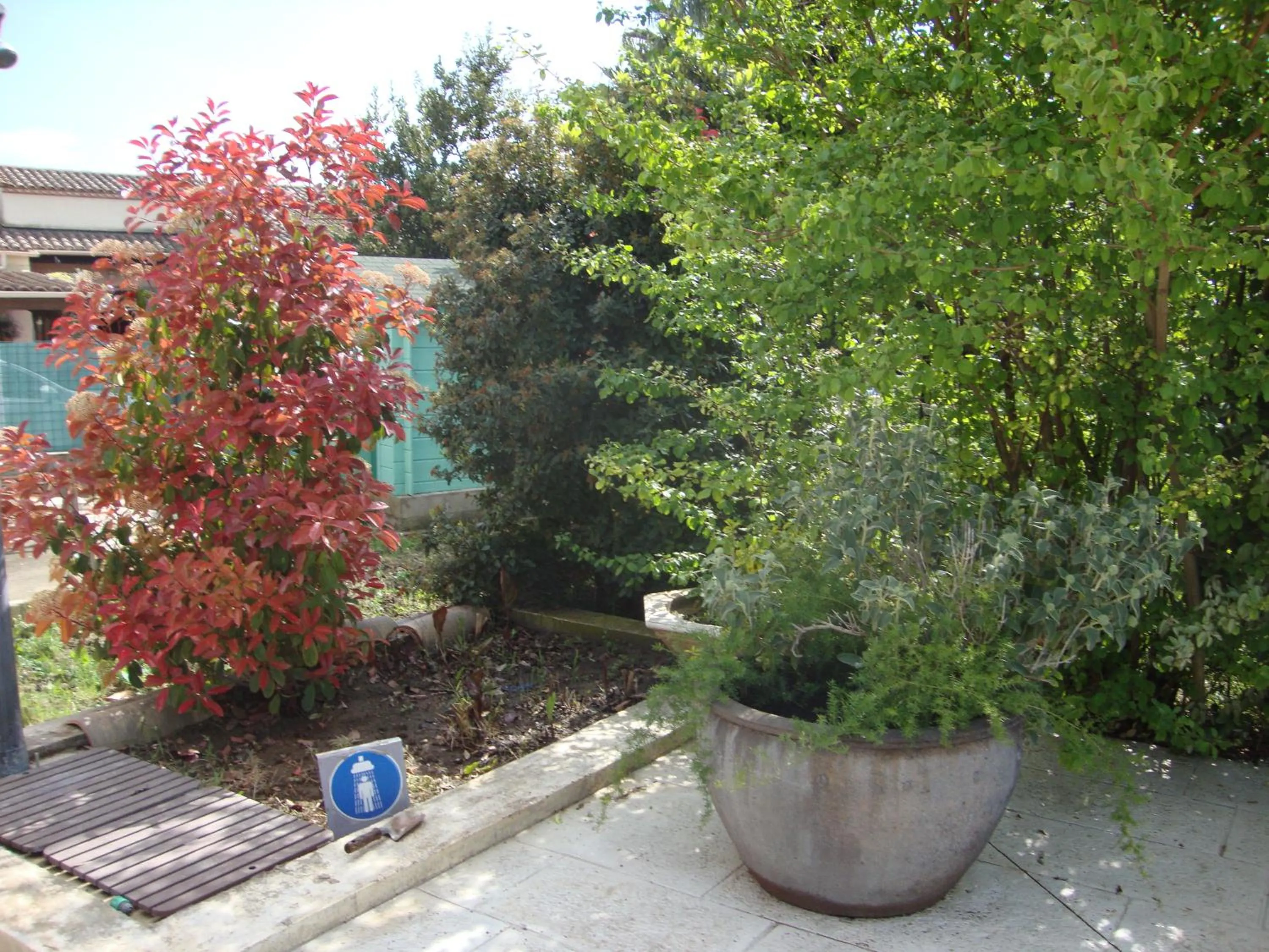 Michèle et Didier Lin