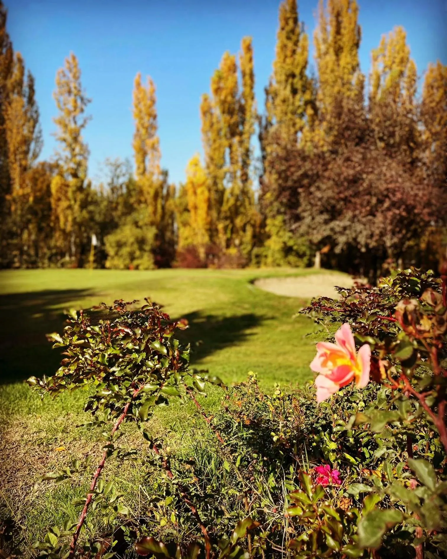 Natural landscape in Hotel Tenuta Santo Stefano