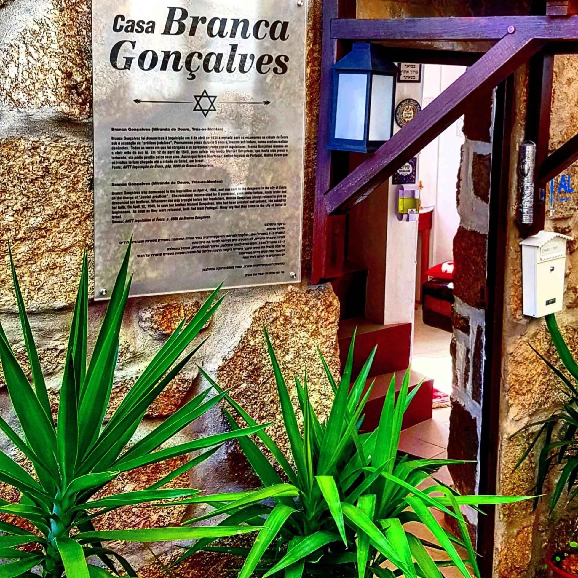 Branca Gonçalves Belmonte