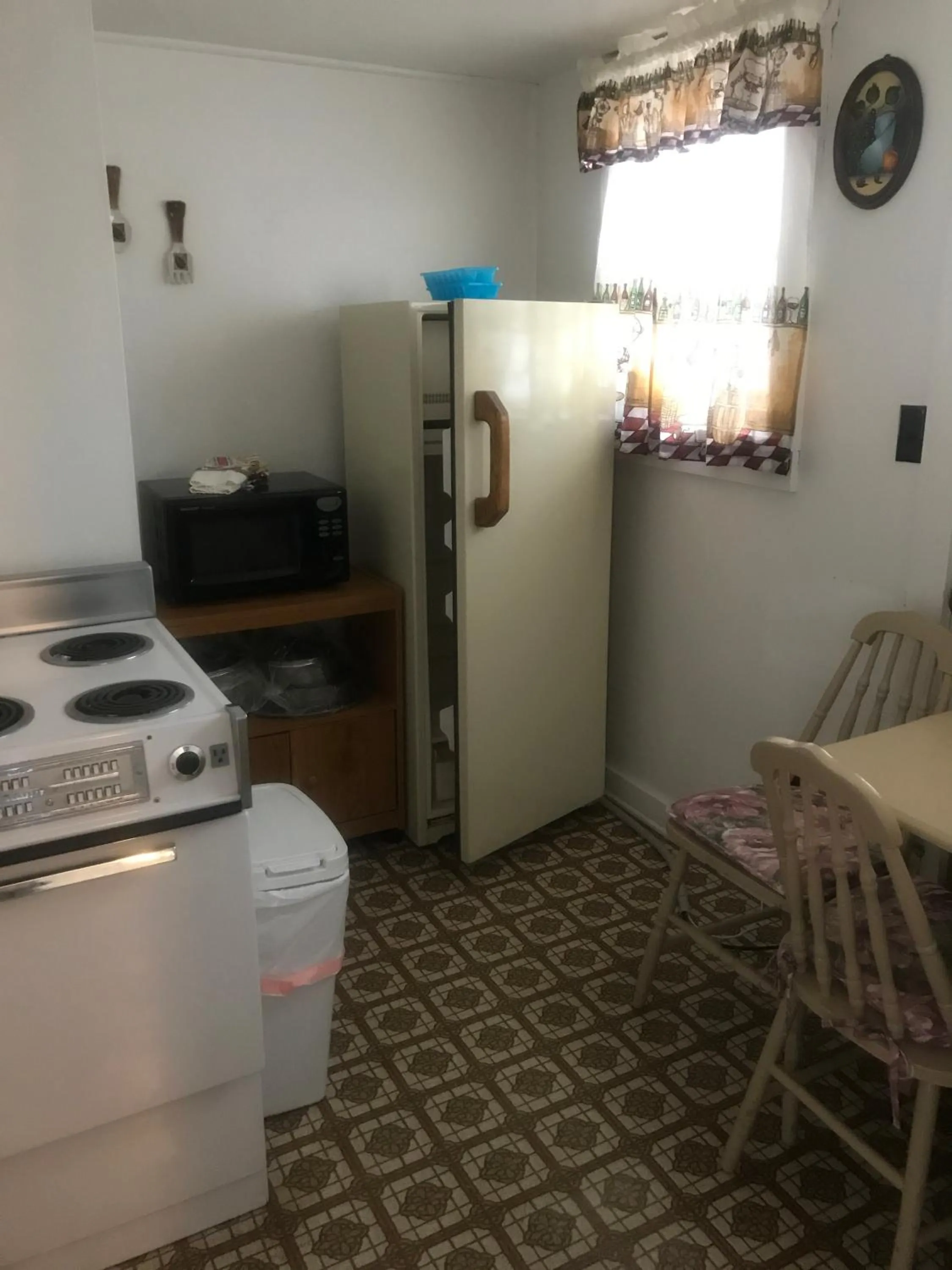 Kitchen or kitchenette in Chalet Motel