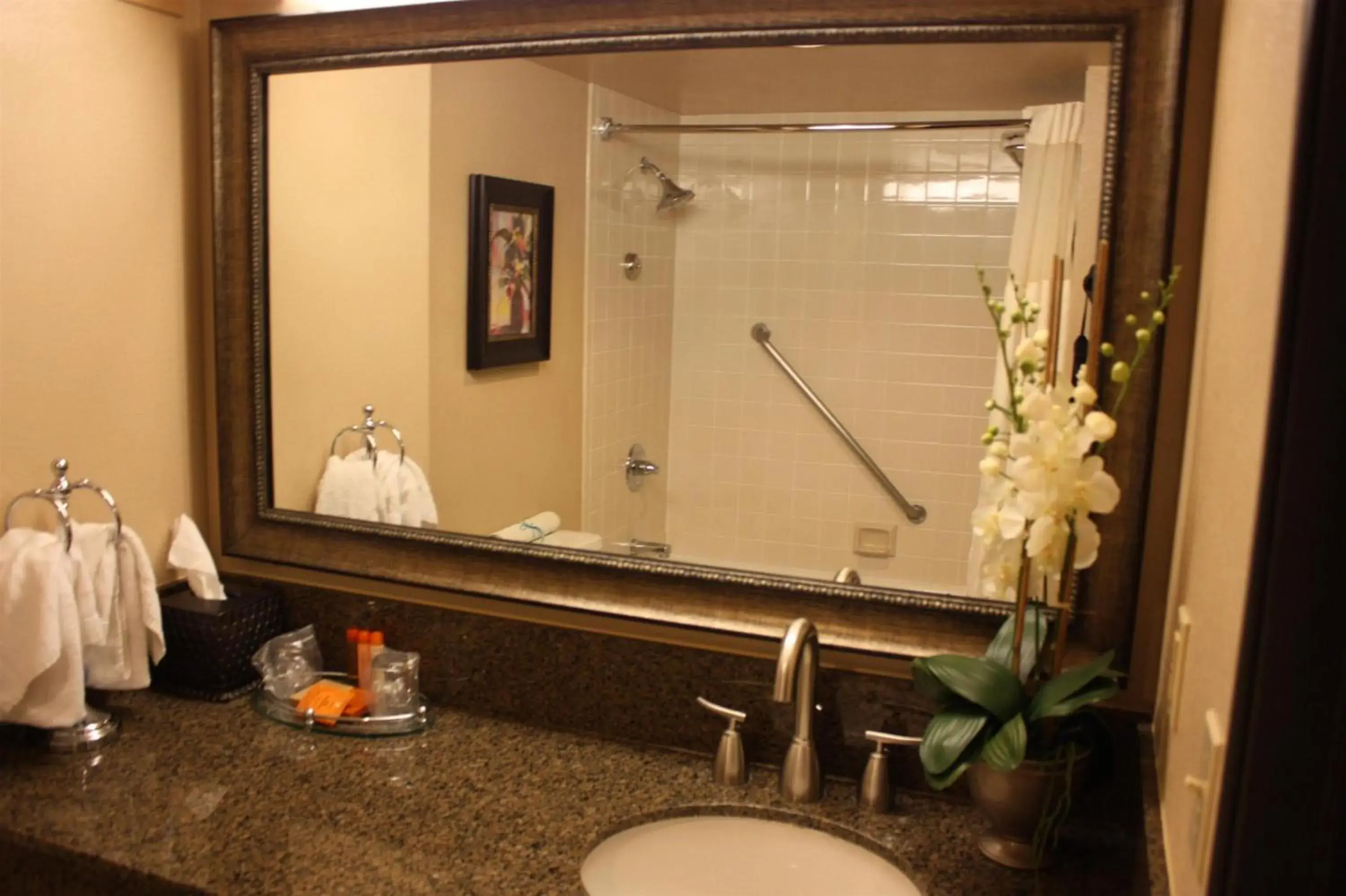 Bathroom in Ramada by Wyndham Viscount Suites Tucson East Bathroom in Ramada by Wyndham Viscount Suites Tucson East