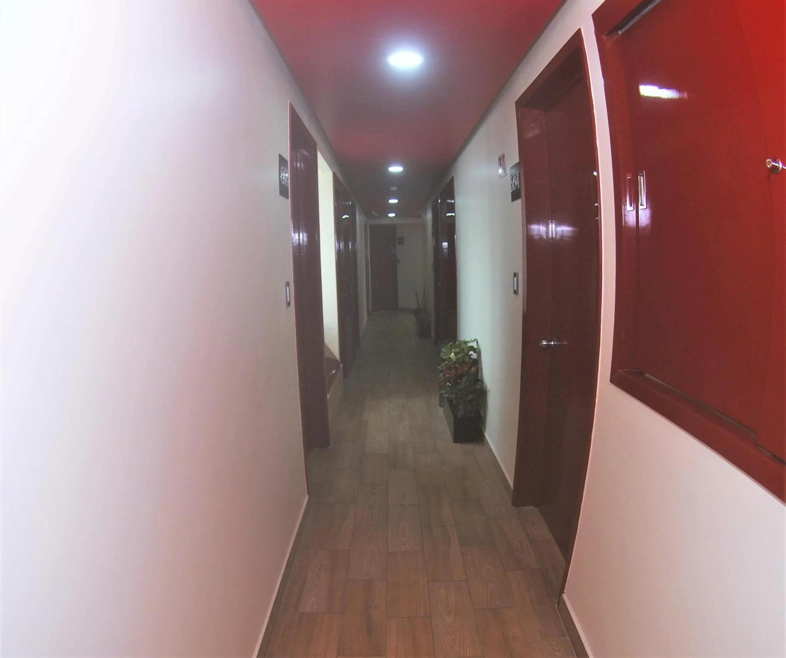 Area and facilities in Hotel Jard Inn Adult Only