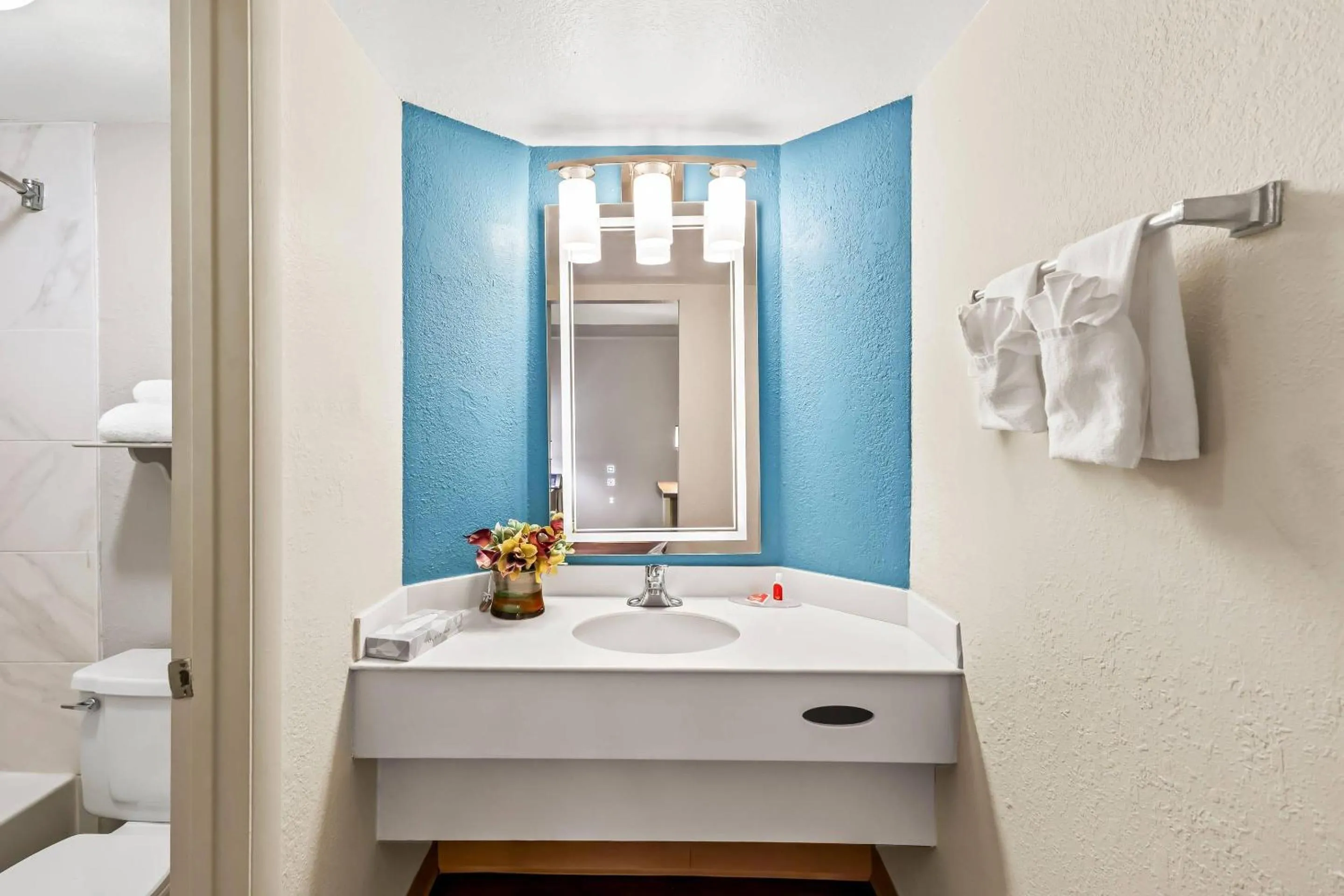Bedroom in Econo Lodge Augusta North - Washington Road