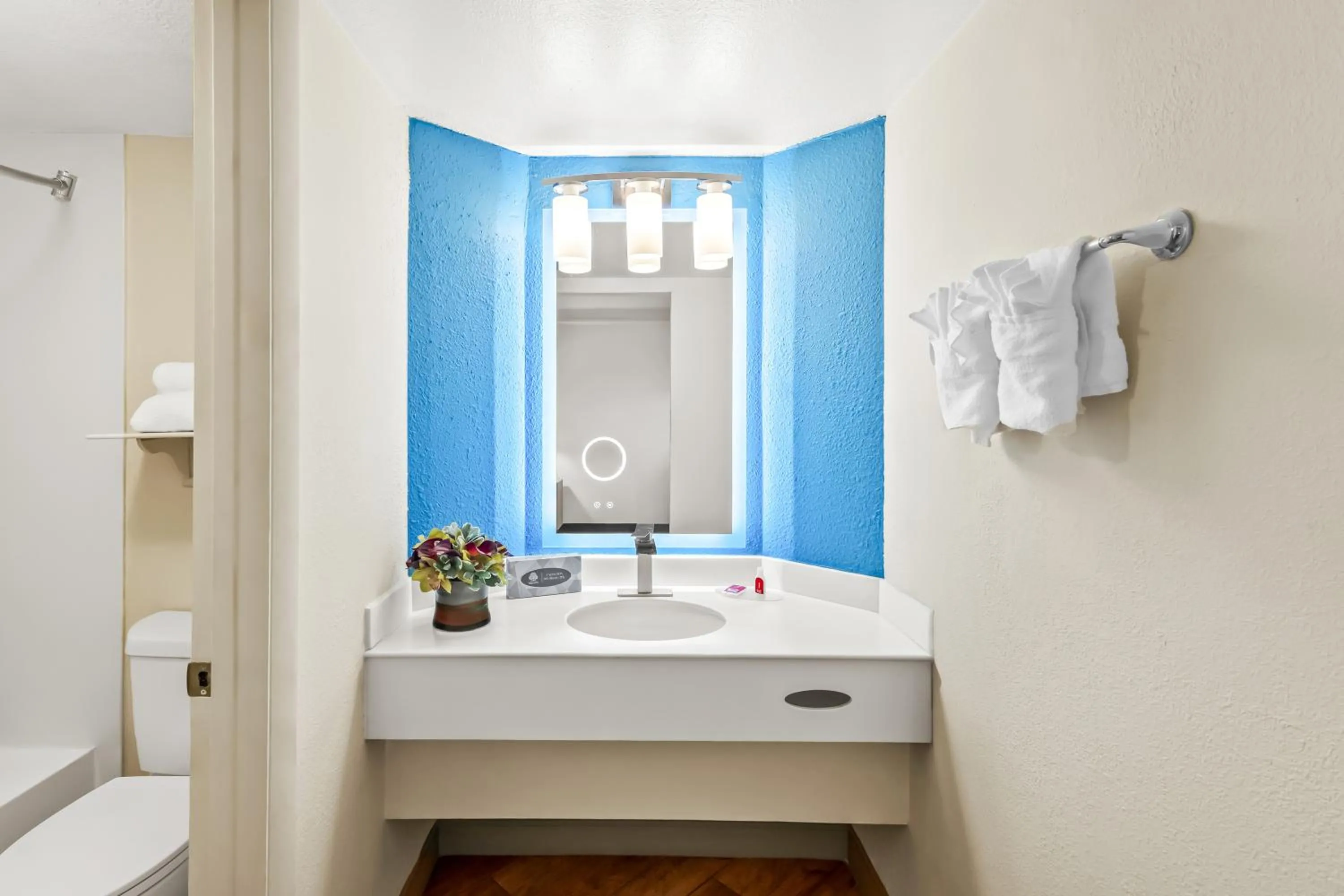 Bathroom in Econo Lodge Augusta North - Washington Road