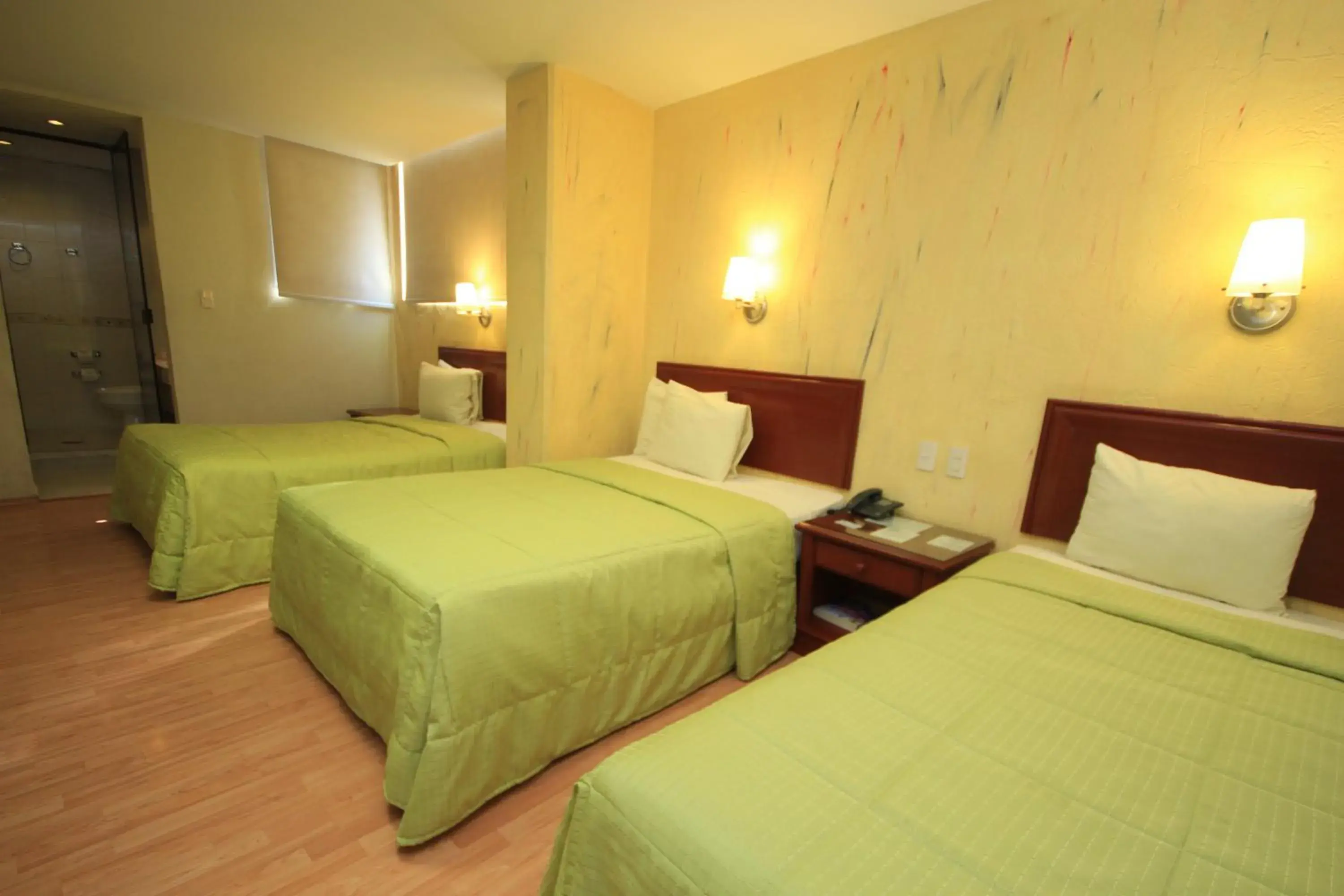 Bed in Hotel Enterprise Inn Plaza Bed in Hotel Enterprise Inn Plaza