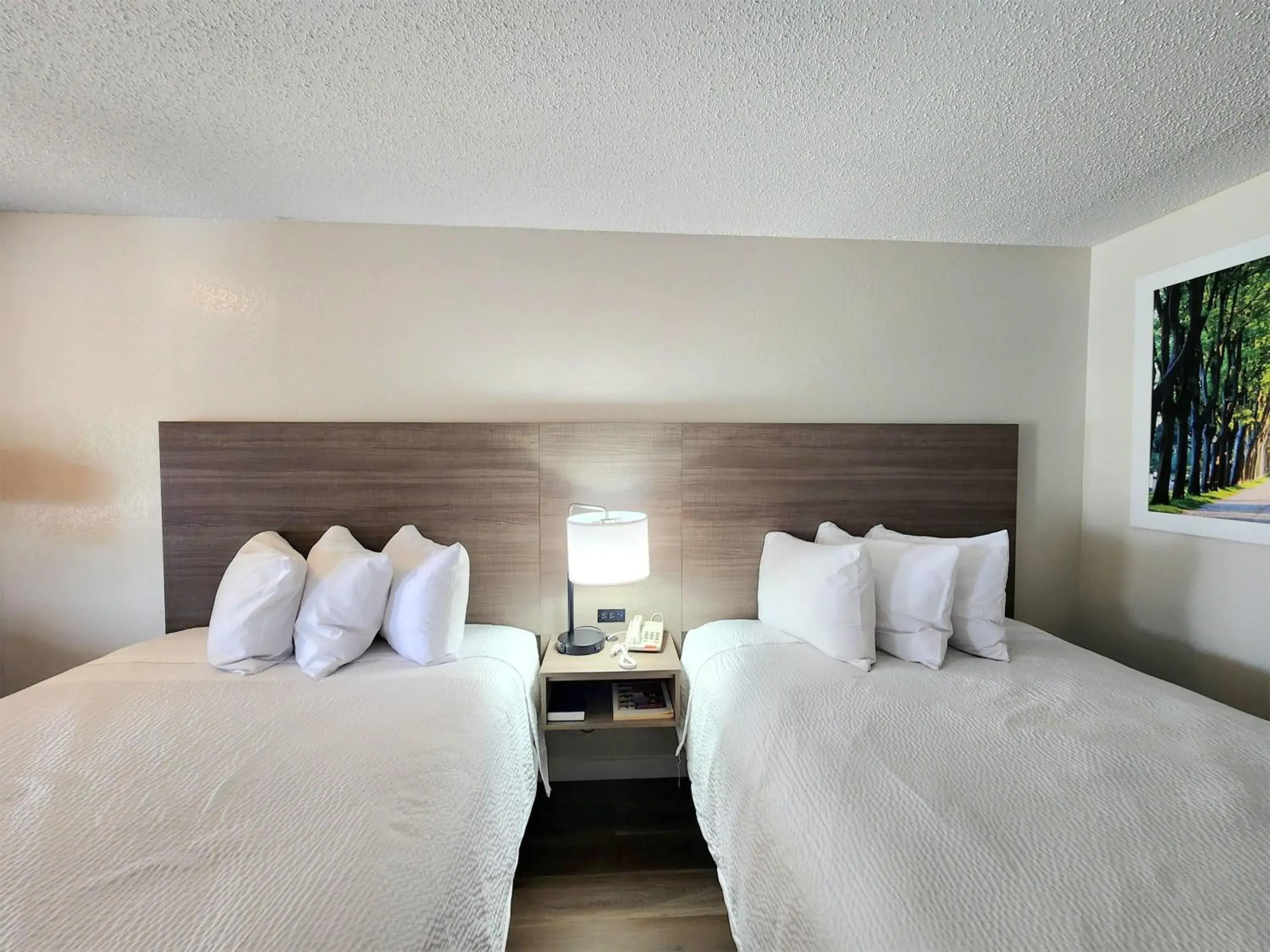 Photo of the whole room, Bed in Days Inn by Wyndham San Marcos Photo of the whole room, Bed in Days Inn by Wyndham San Marcos