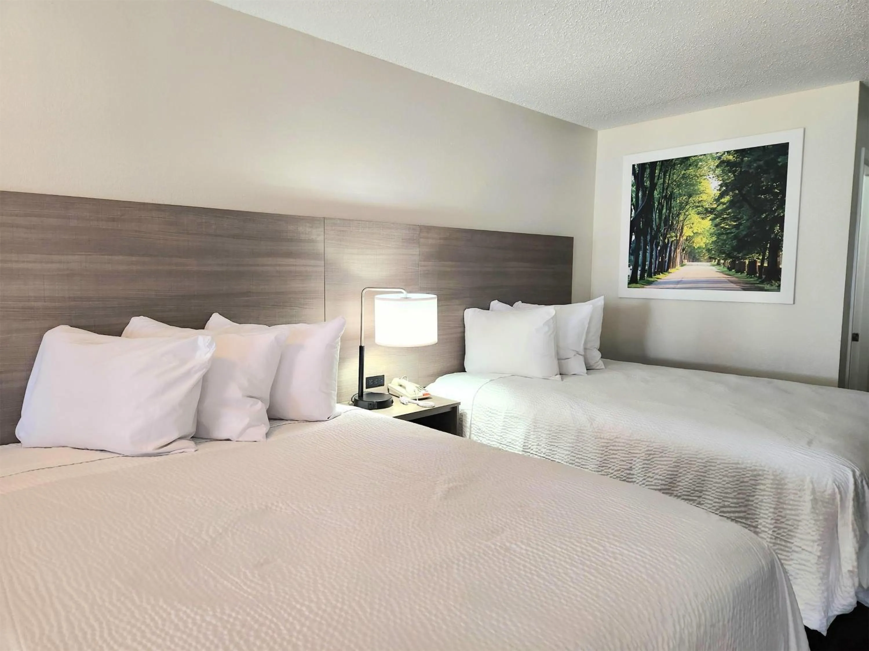 Photo of the whole room, Bed in Days Inn by Wyndham San Marcos