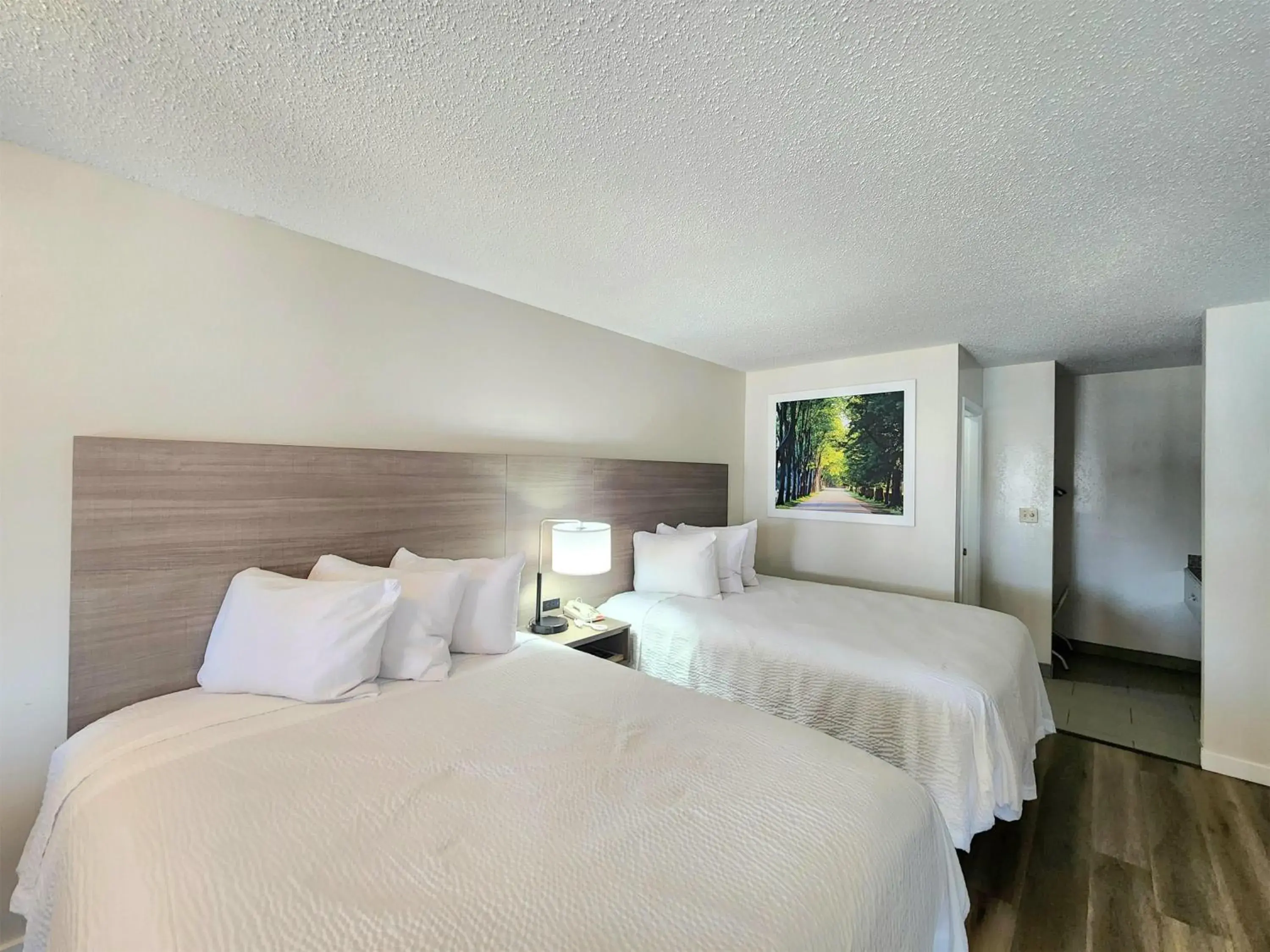 Photo of the whole room, Bed in Days Inn by Wyndham San Marcos Photo of the whole room, Bed in Days Inn by Wyndham San Marcos