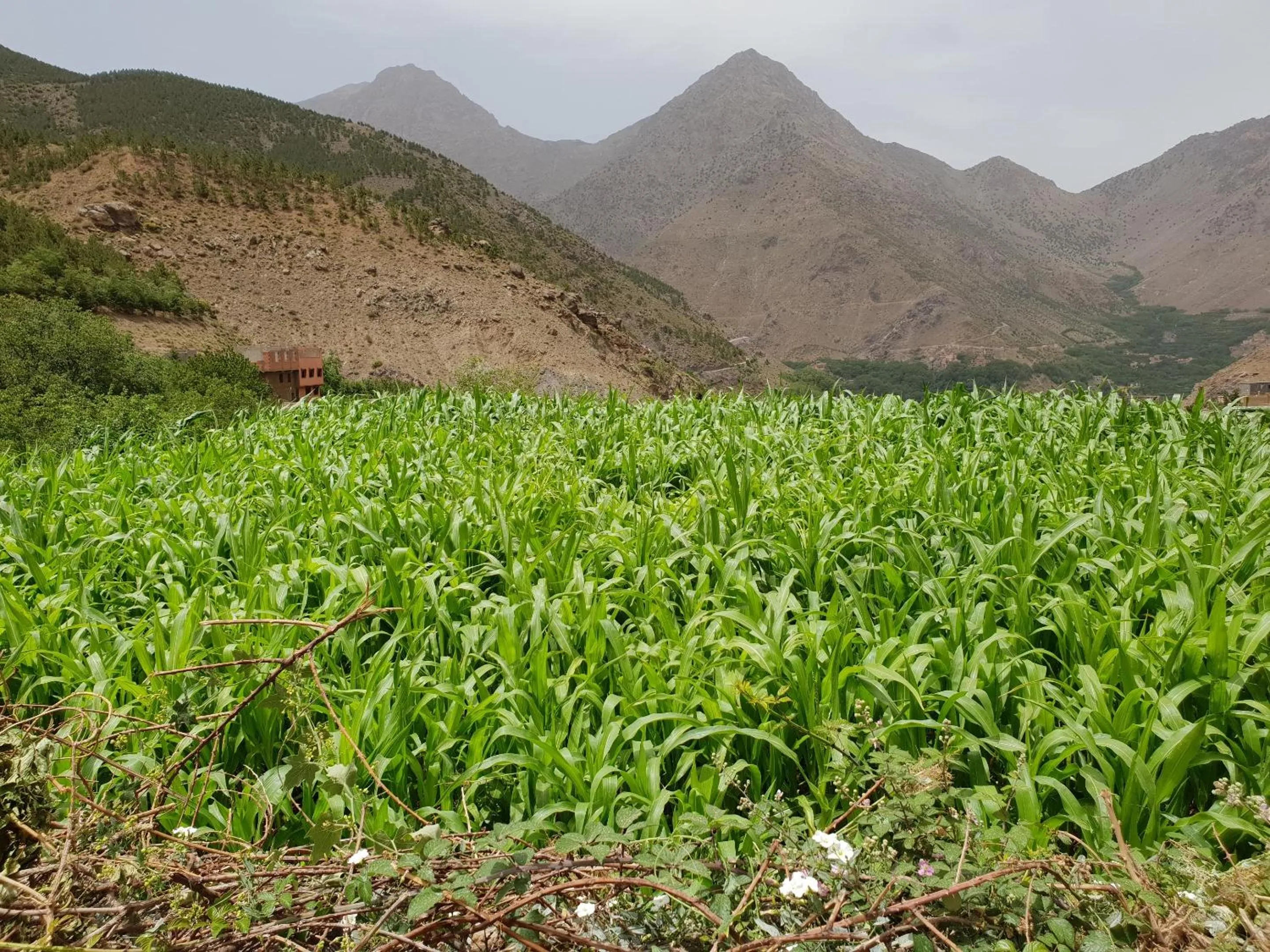 Natural landscape in Dar Assarou - Toubkal National Park Lodge