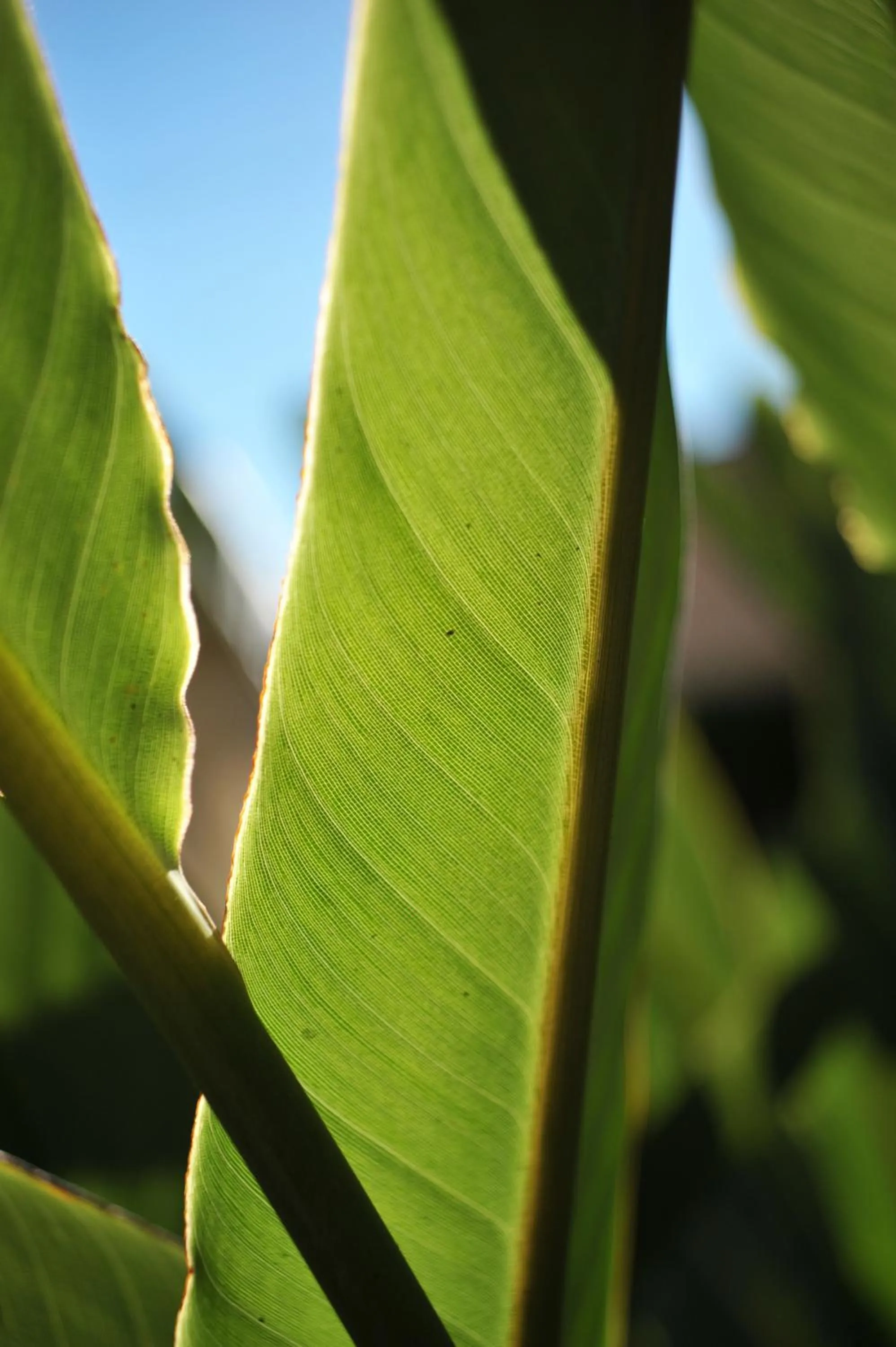 Certificate/Award in Pousada da Sesmaria