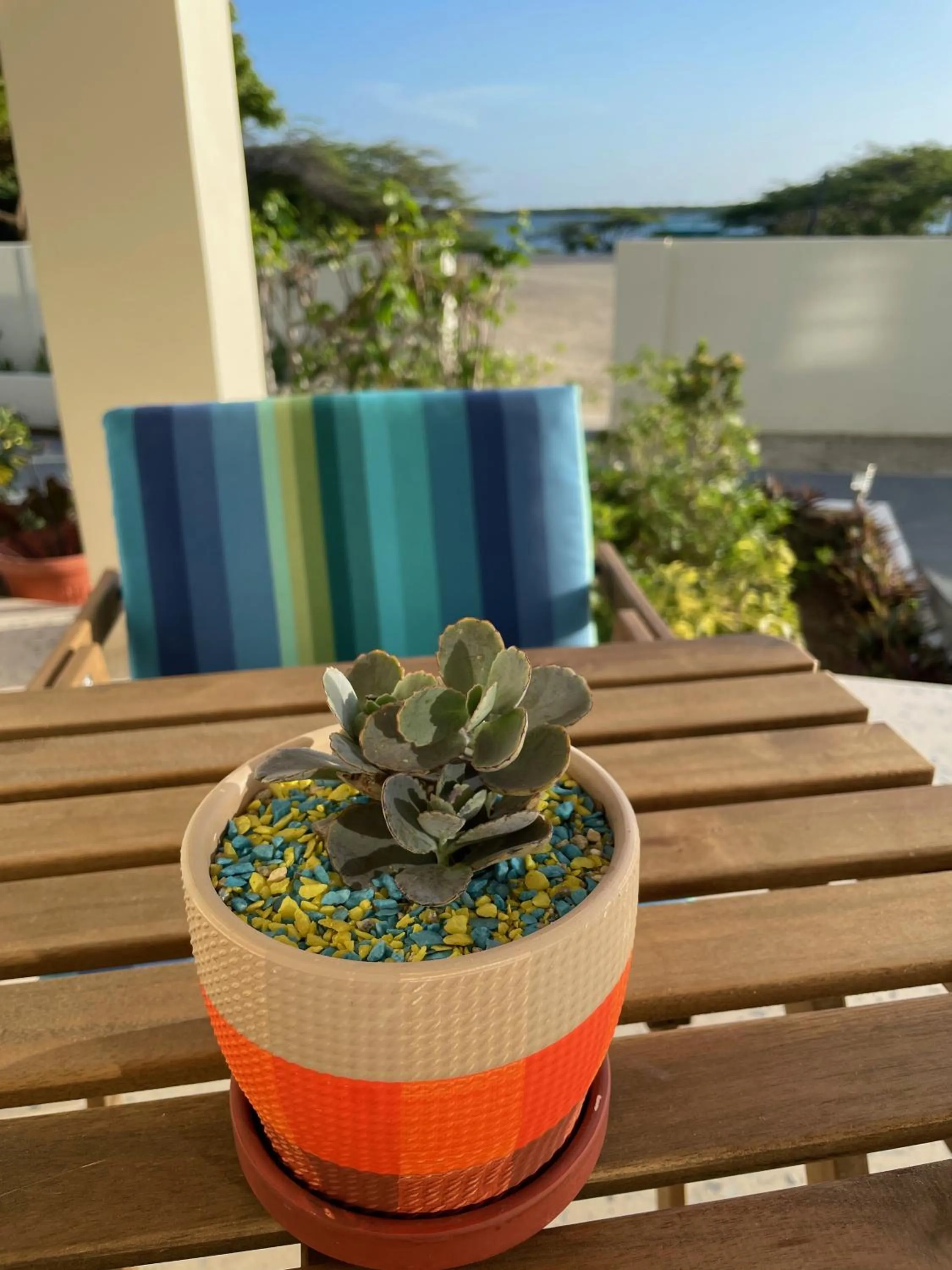 Patio in Vistalmar Ocean Suites