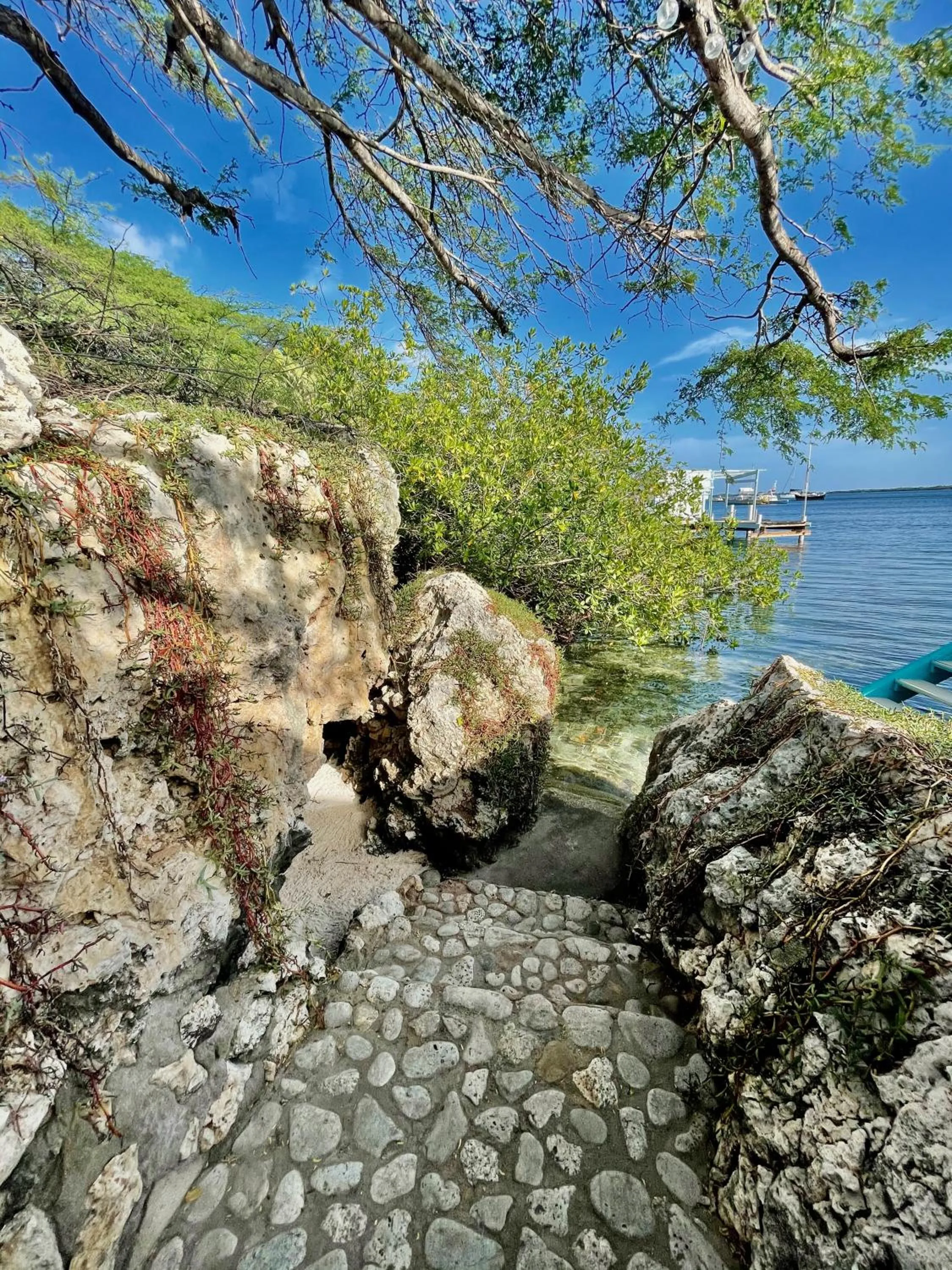 Activities in Vistalmar Ocean Suites