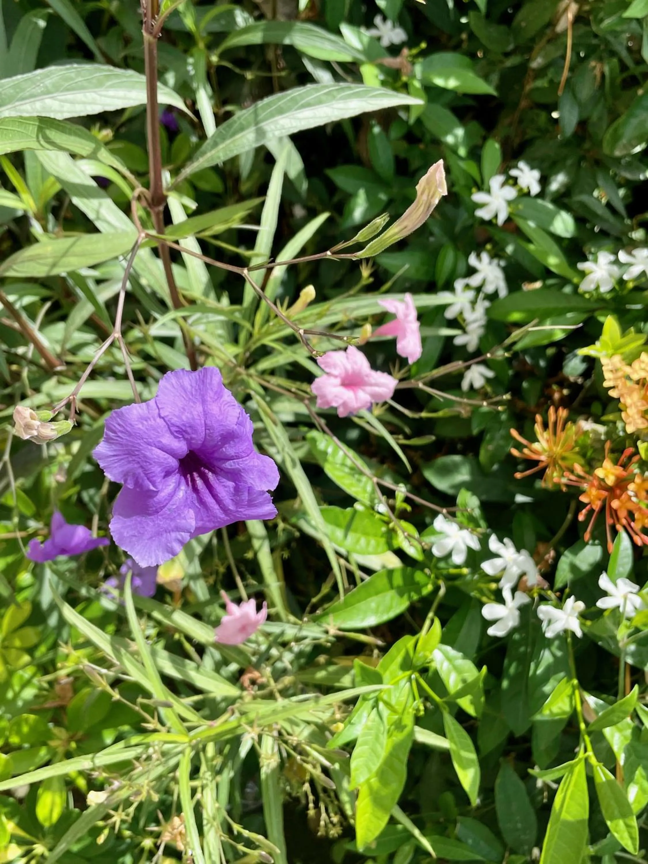 View (from property/room) in Vistalmar Ocean Suites