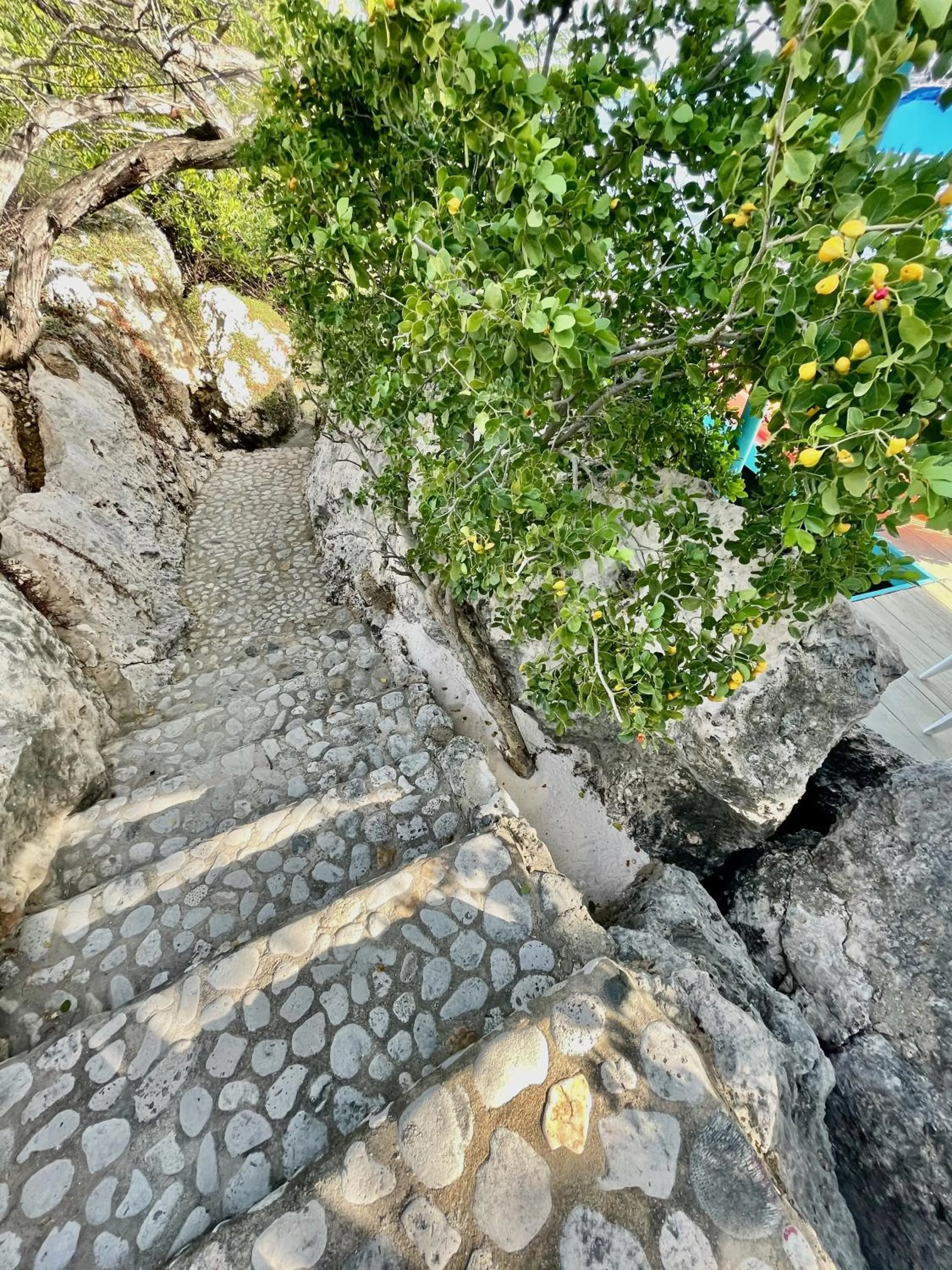 Natural landscape in Vistalmar Ocean Suites