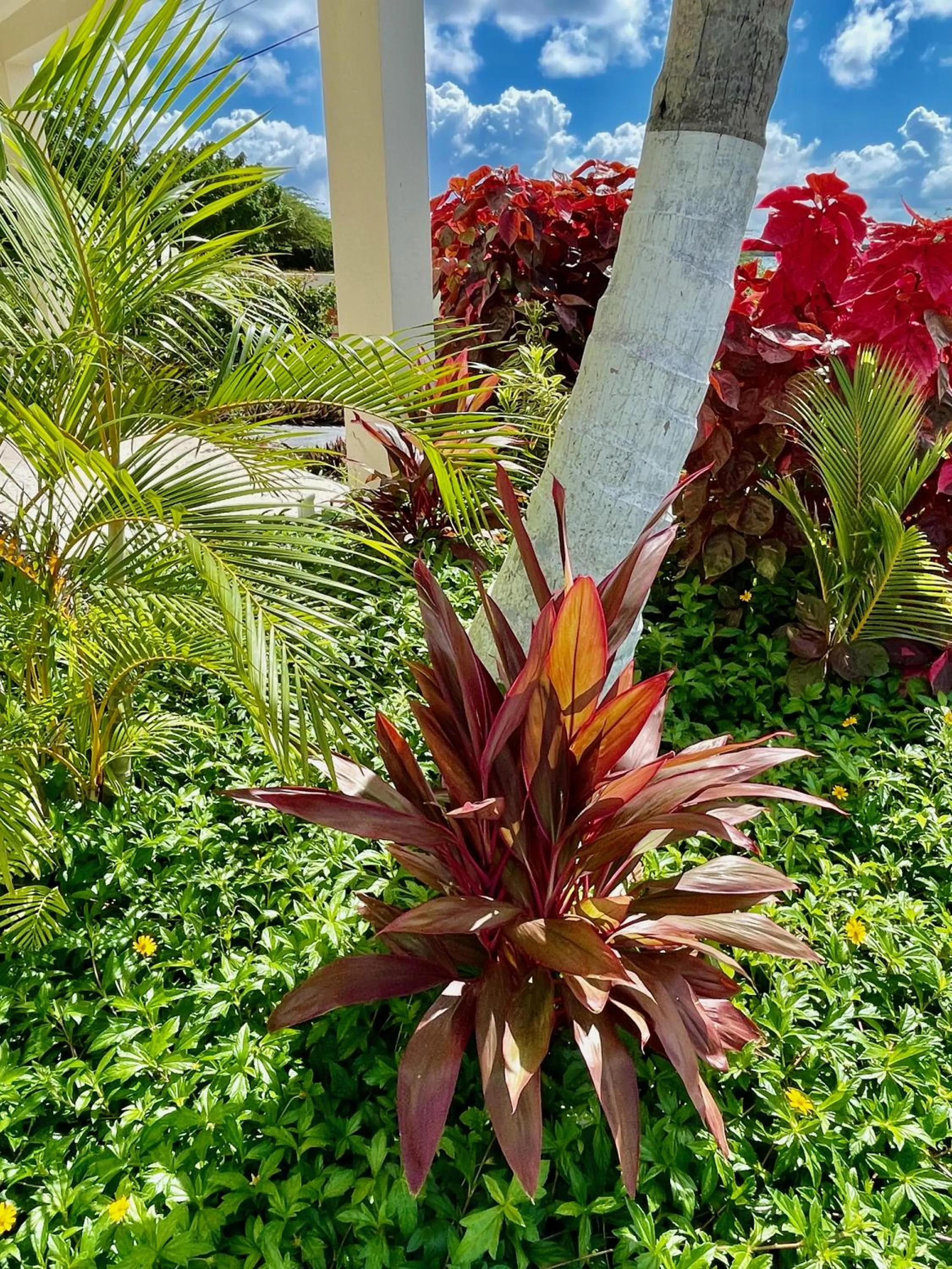 Facade/entrance in Vistalmar Ocean Suites