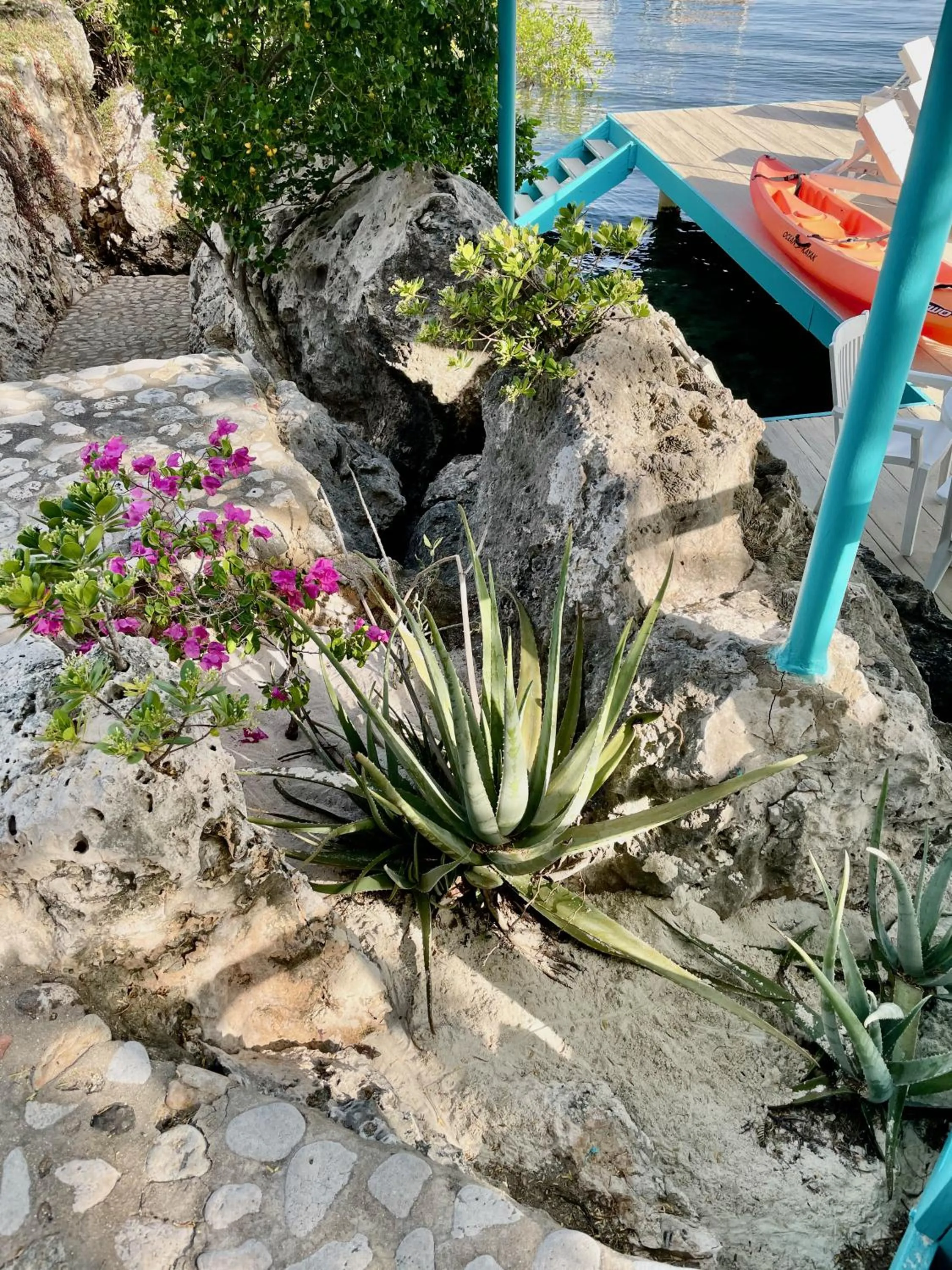 Beach in Vistalmar Ocean Suites