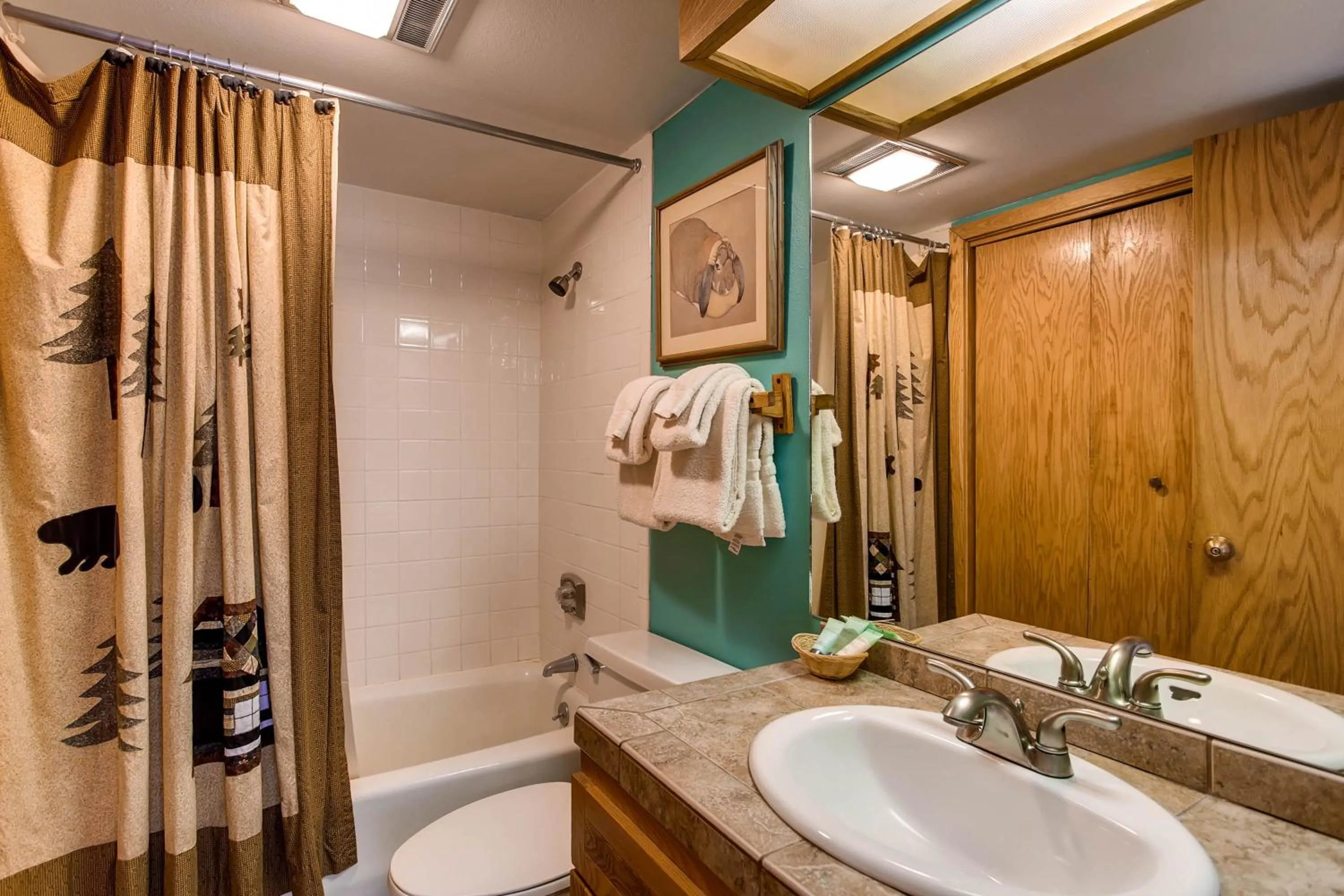 The Plaza Condominiums, A Vail Resorts Property