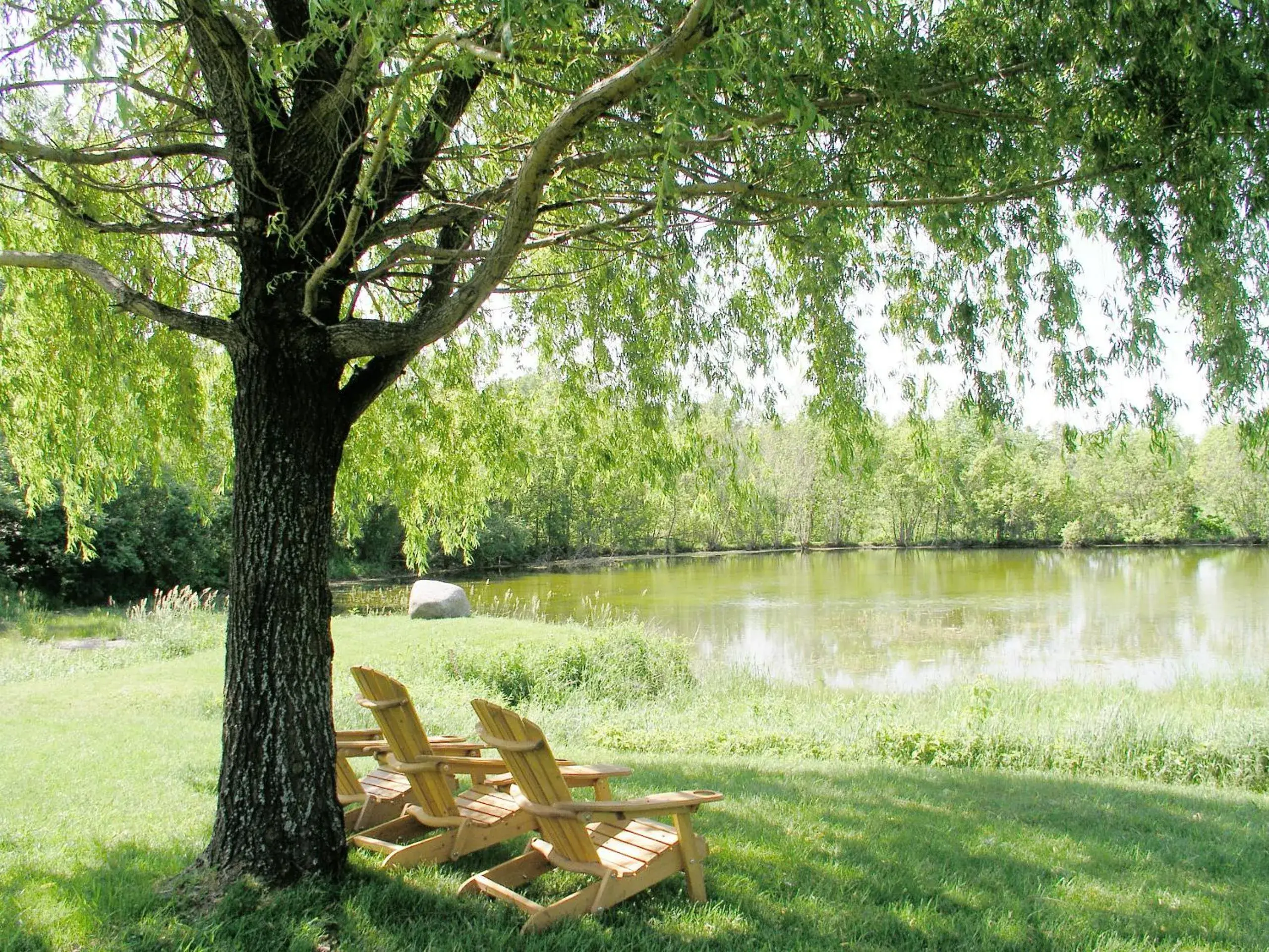 View (from property/room) in Auberge des Gallant View (from property/room) in Auberge des Gallant