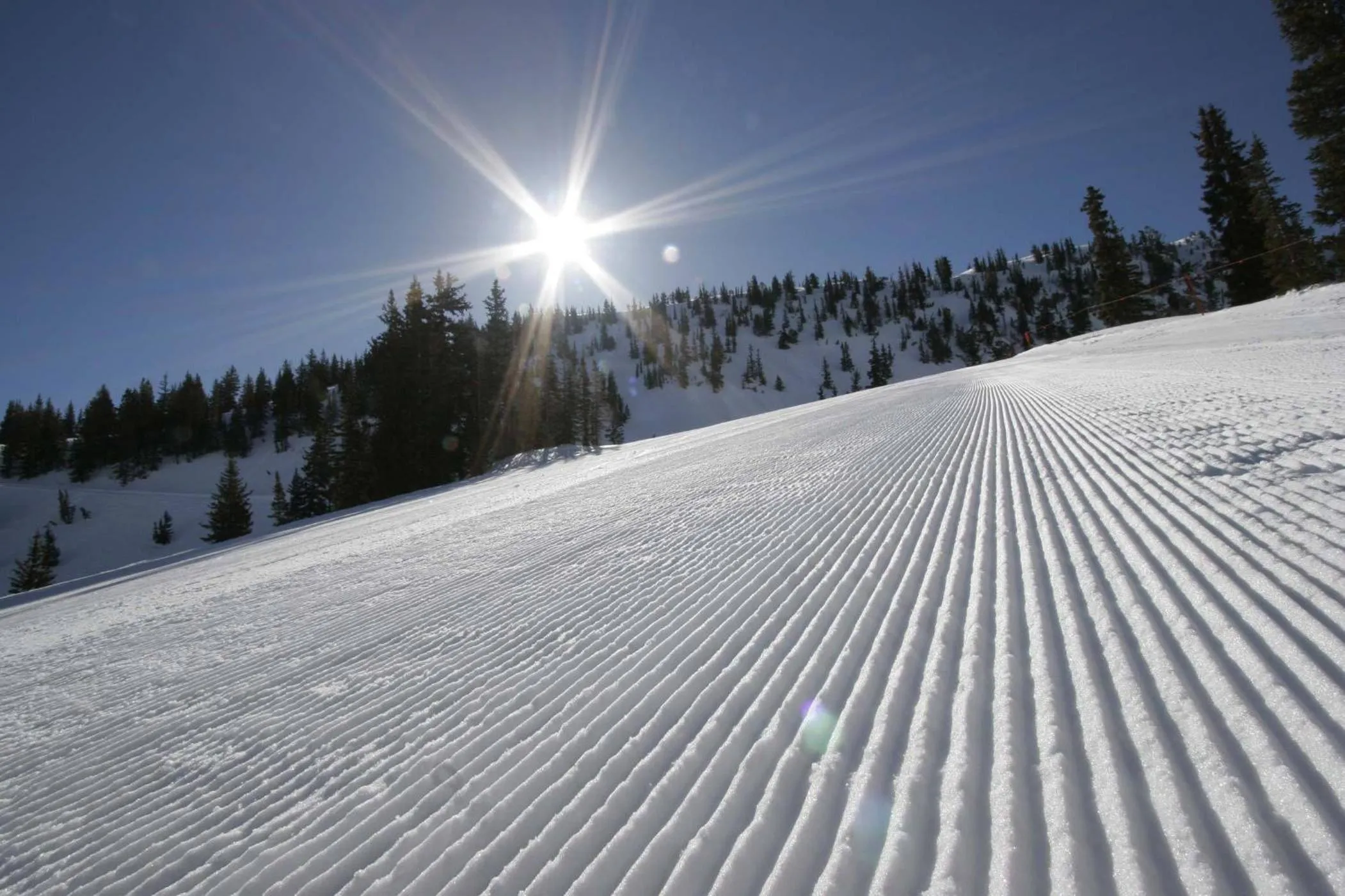 Winter in Alta's Rustler Lodge