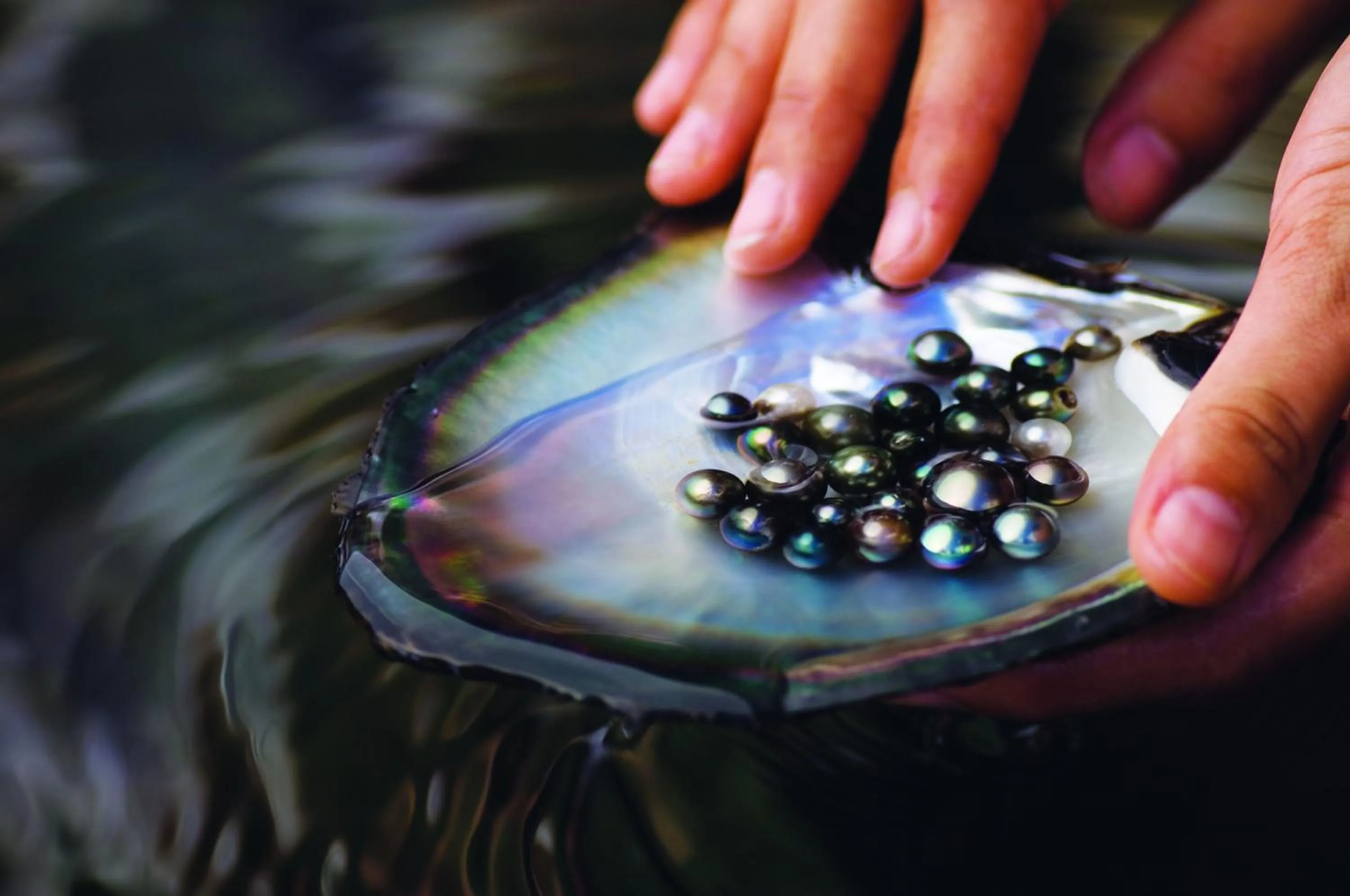 Other in Four Seasons Resort Bora Bora