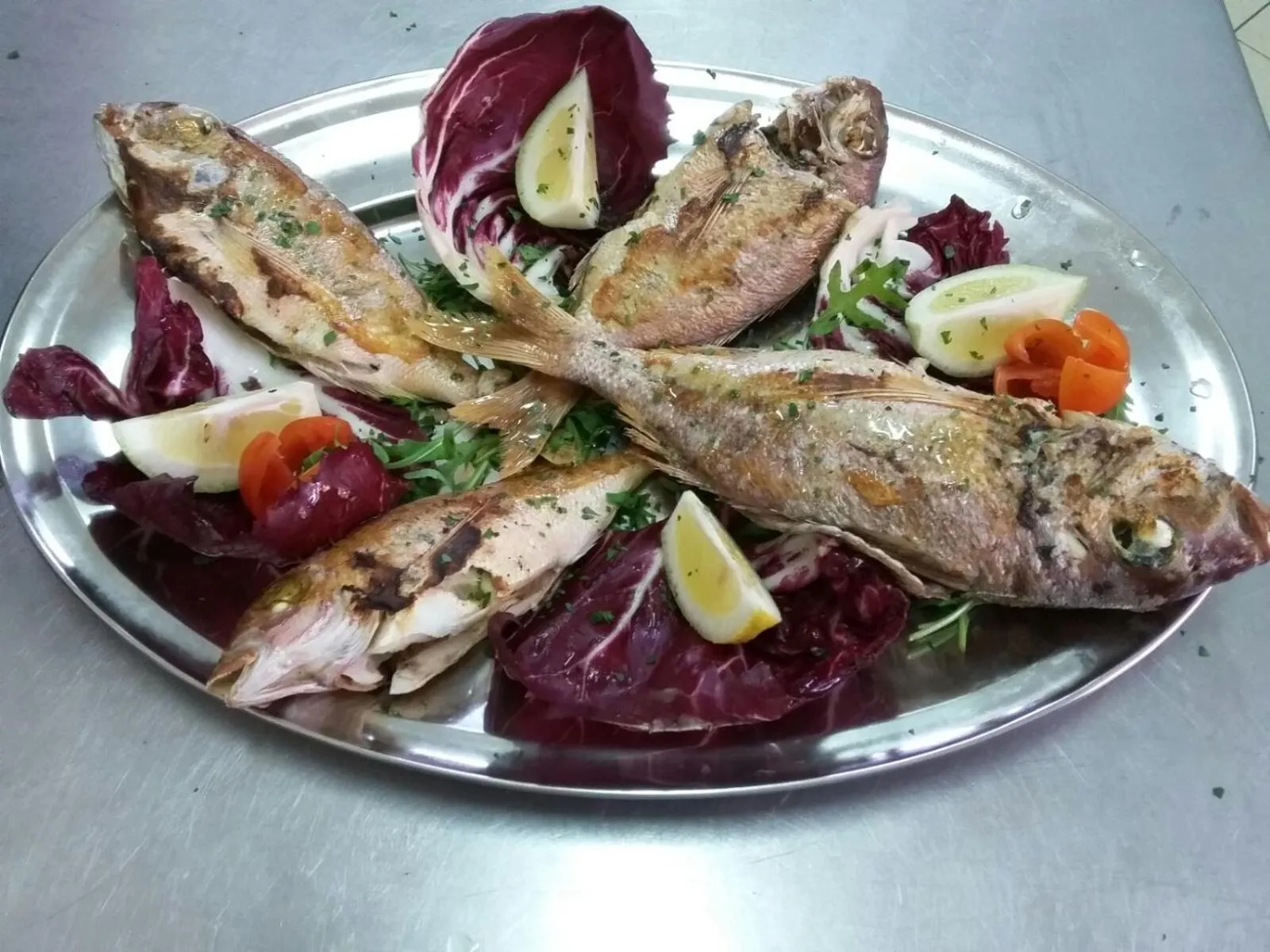 Dinner in Andrea Case Vacanze L'Ancora