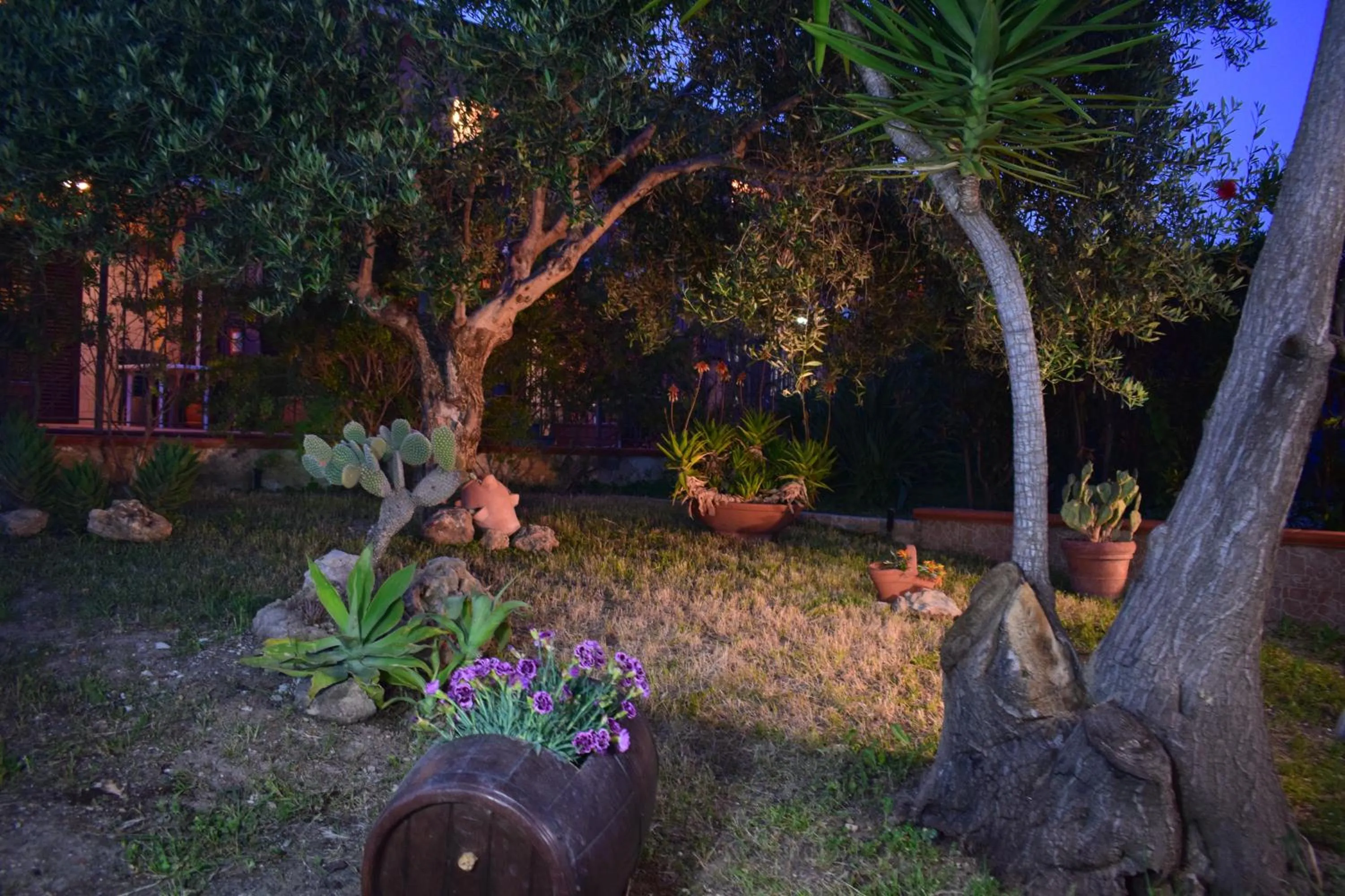 Garden view in Andrea Case Vacanze L'Ancora