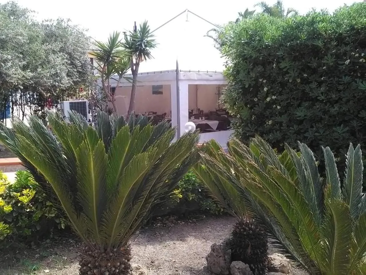 Garden in Andrea Case Vacanze L'Ancora