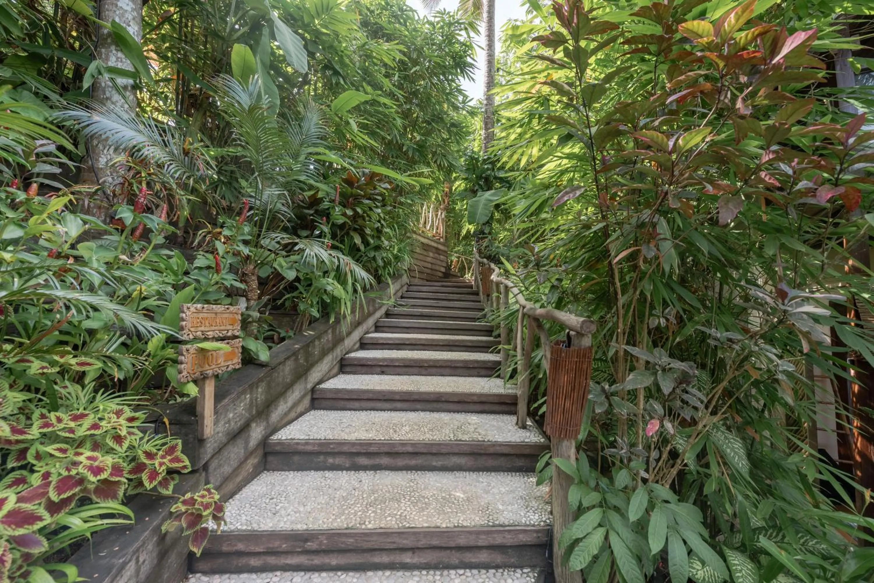 Garden view in The Hillside Resort Siargao