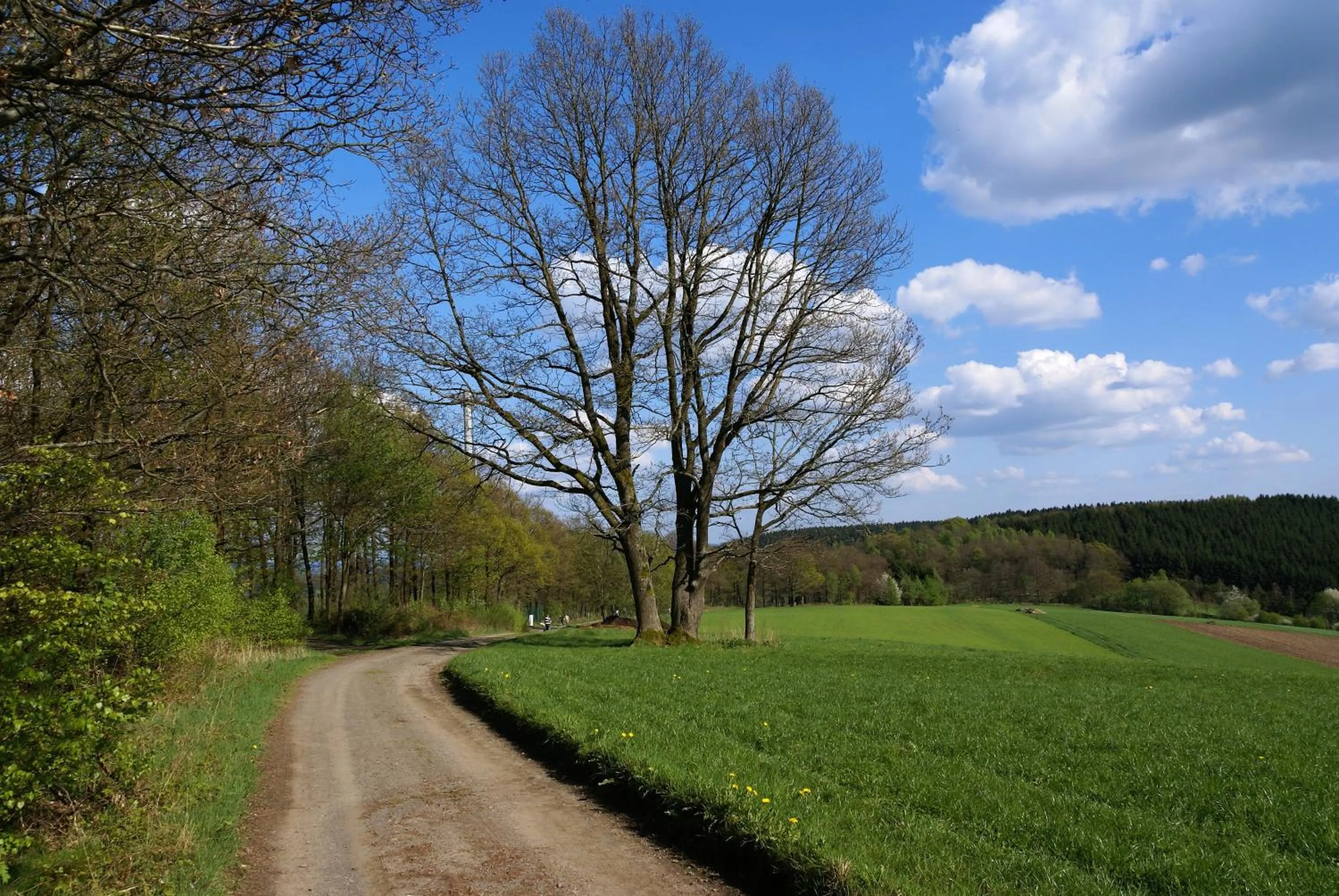 Natural landscape in Gasthof Schumacher Hotel garni