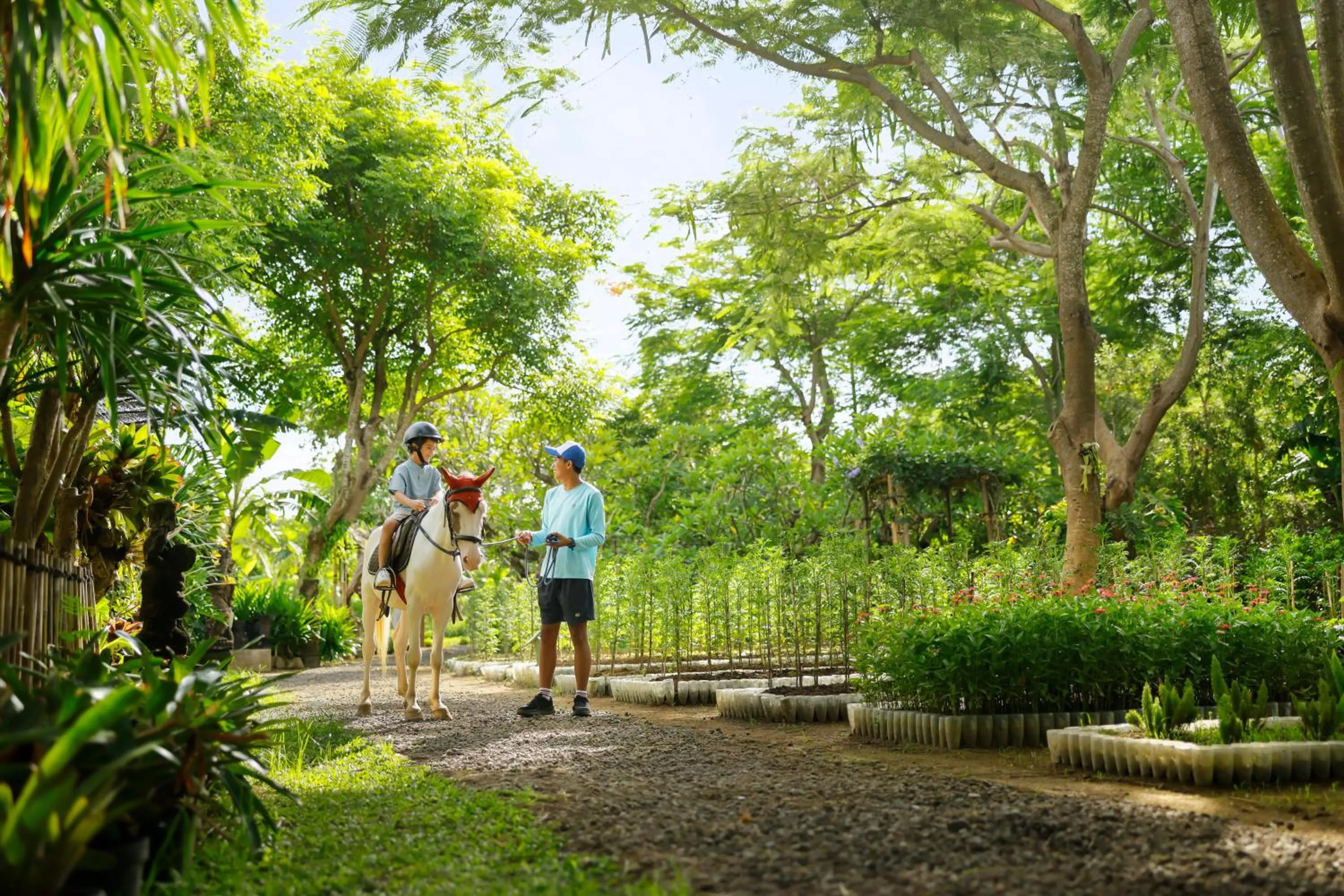 Activities in Padma Resort Legian