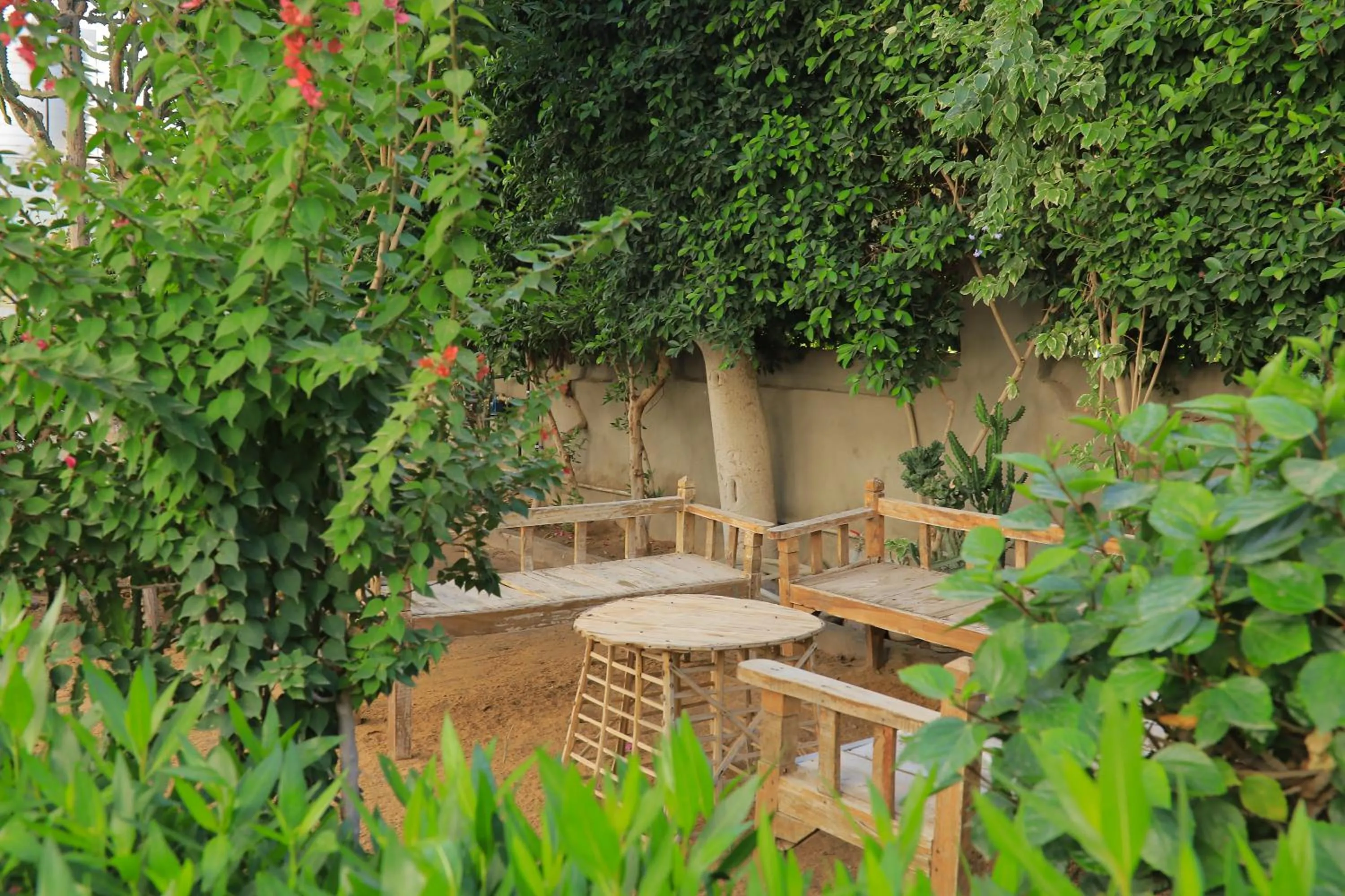 Garden in Nubian Holiday House Aswan