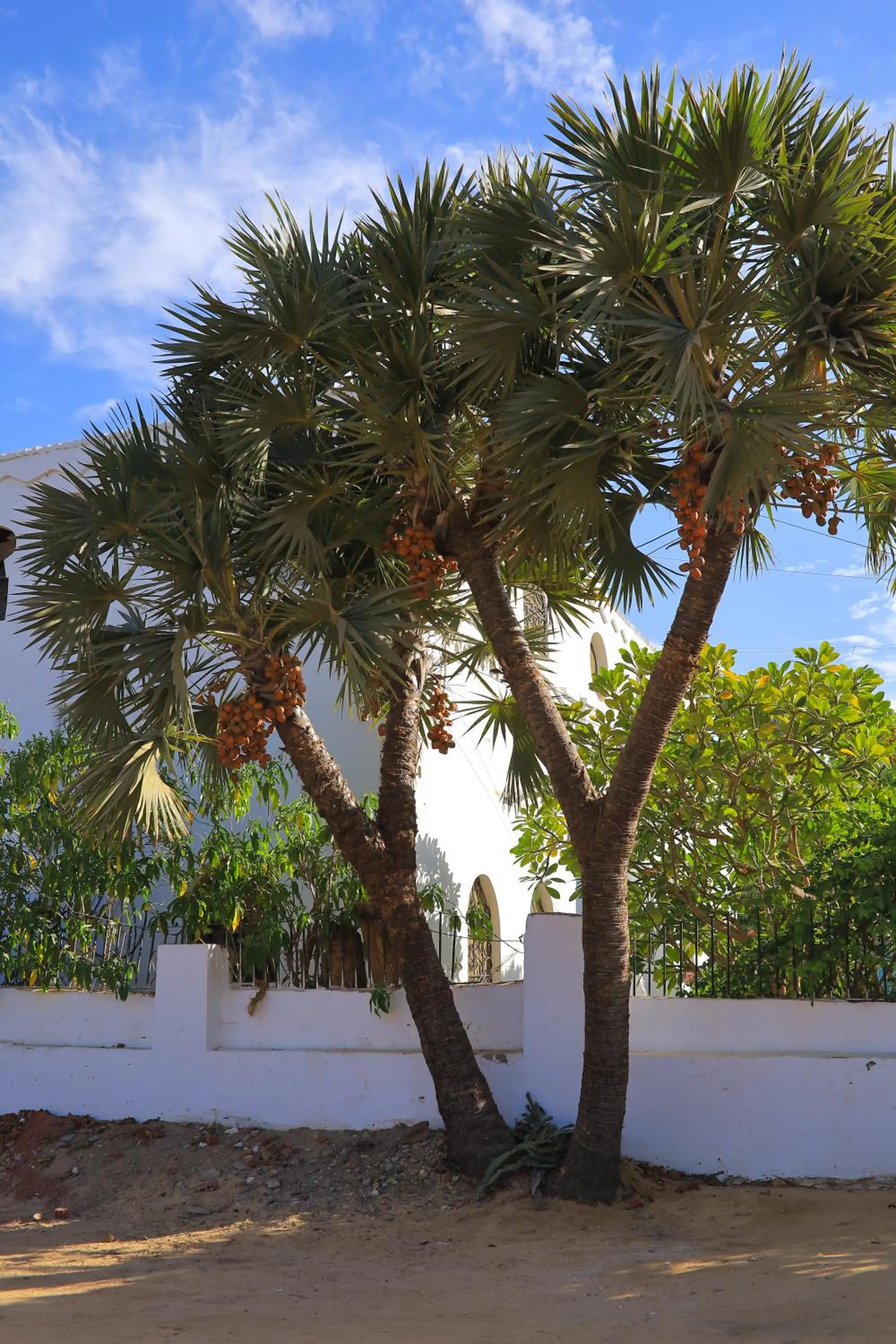 Property building in Nubian Holiday House Aswan