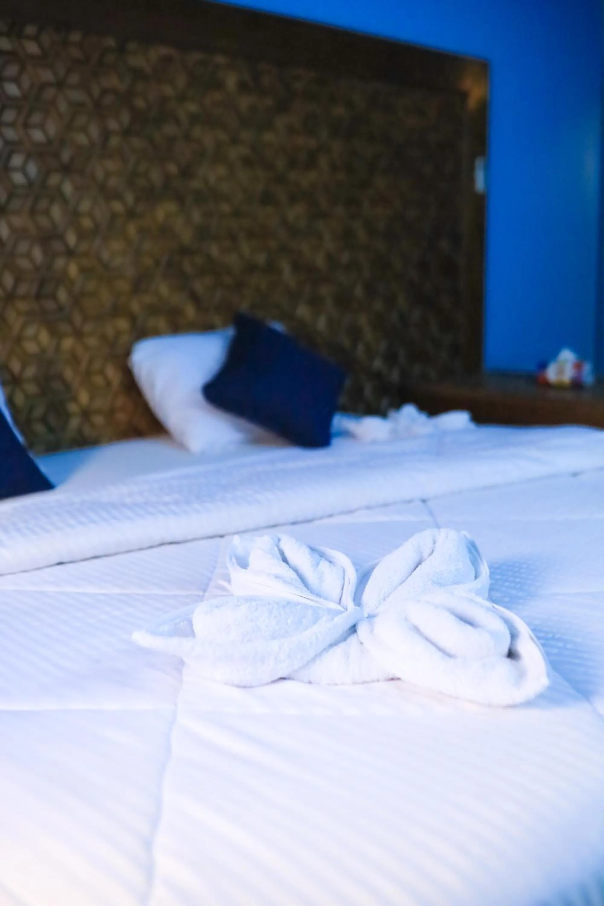 Bed in Nubian Holiday House Aswan