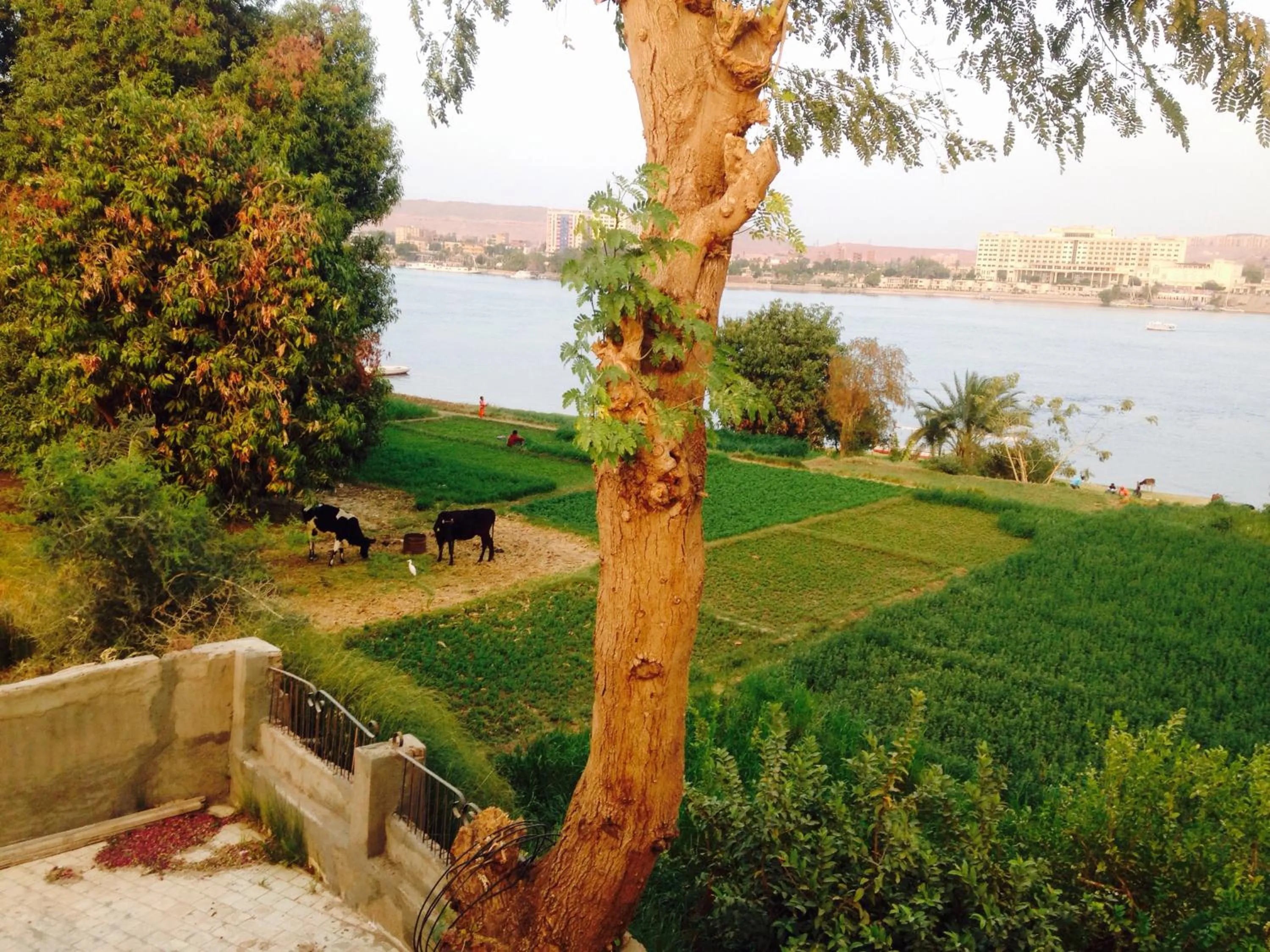 Natural landscape in Nubian Holiday House Aswan
