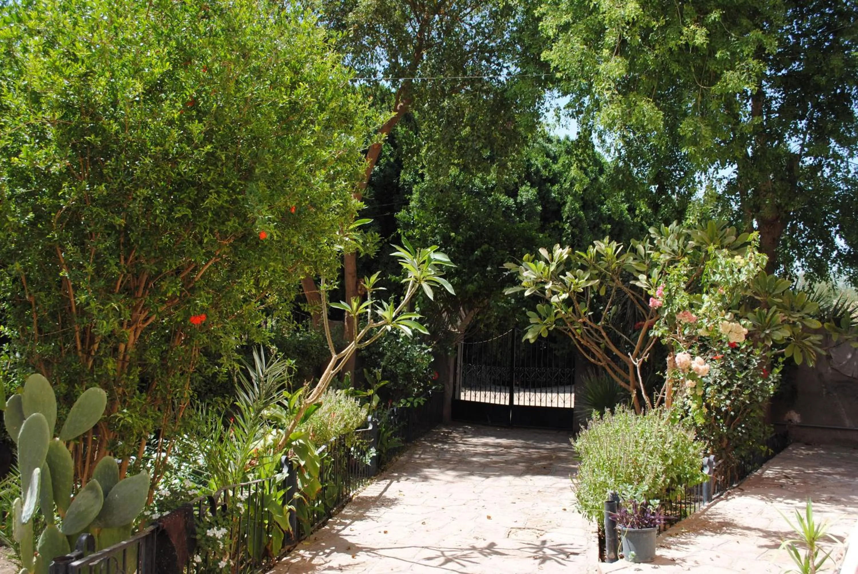 Garden in Nubian Holiday House Aswan