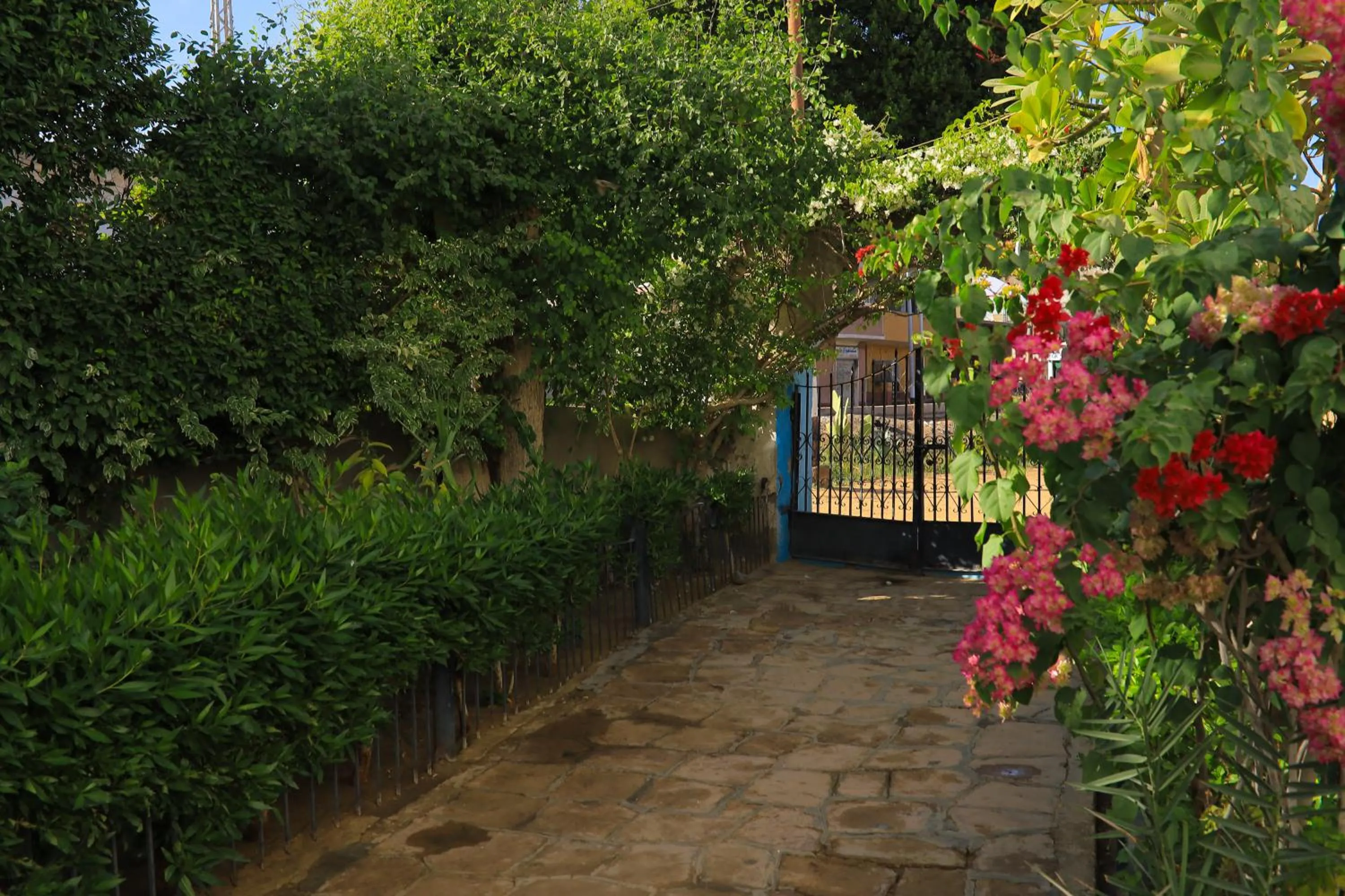 Garden in Nubian Holiday House Aswan