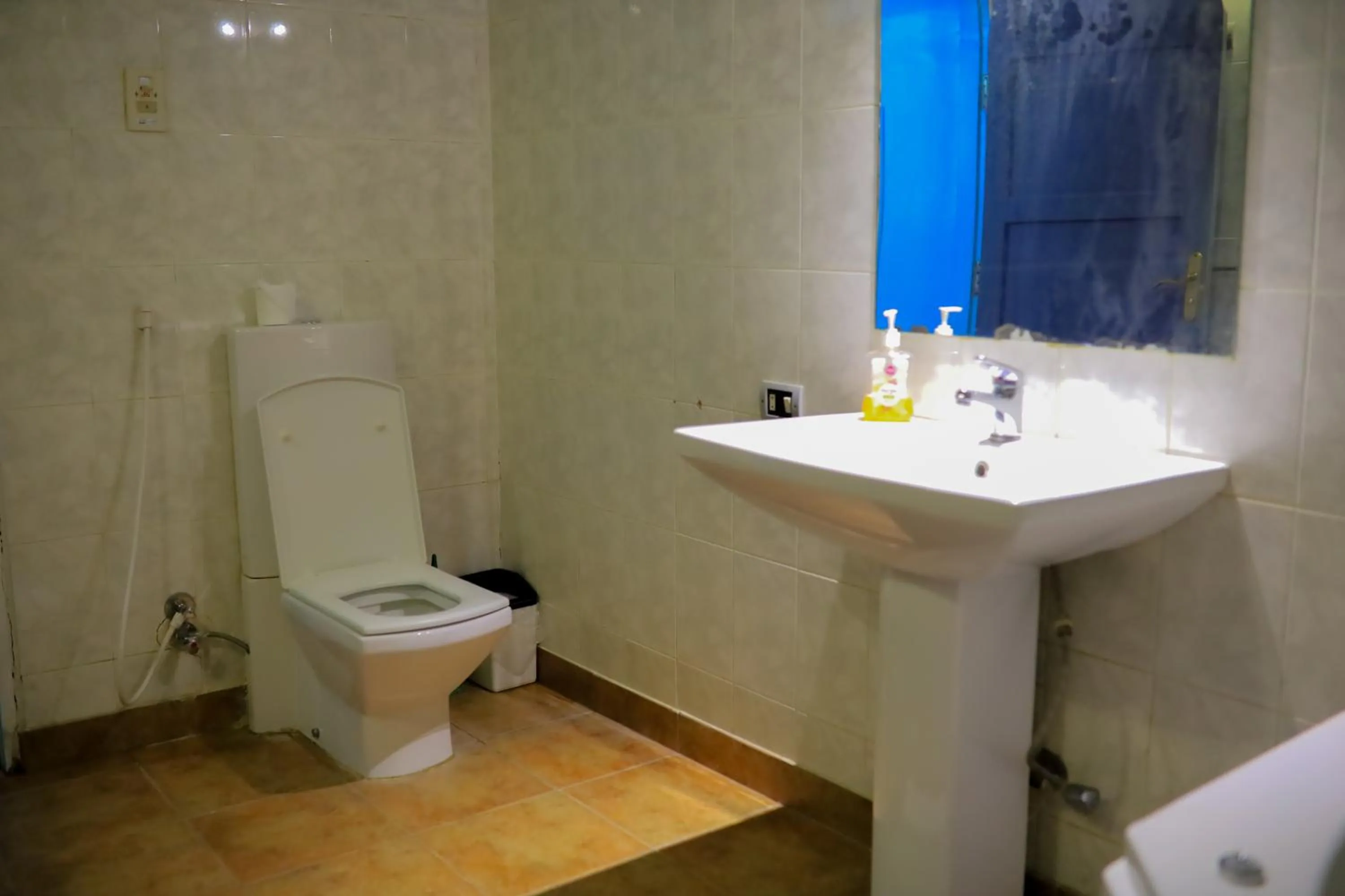 Nubian Holiday House Aswan