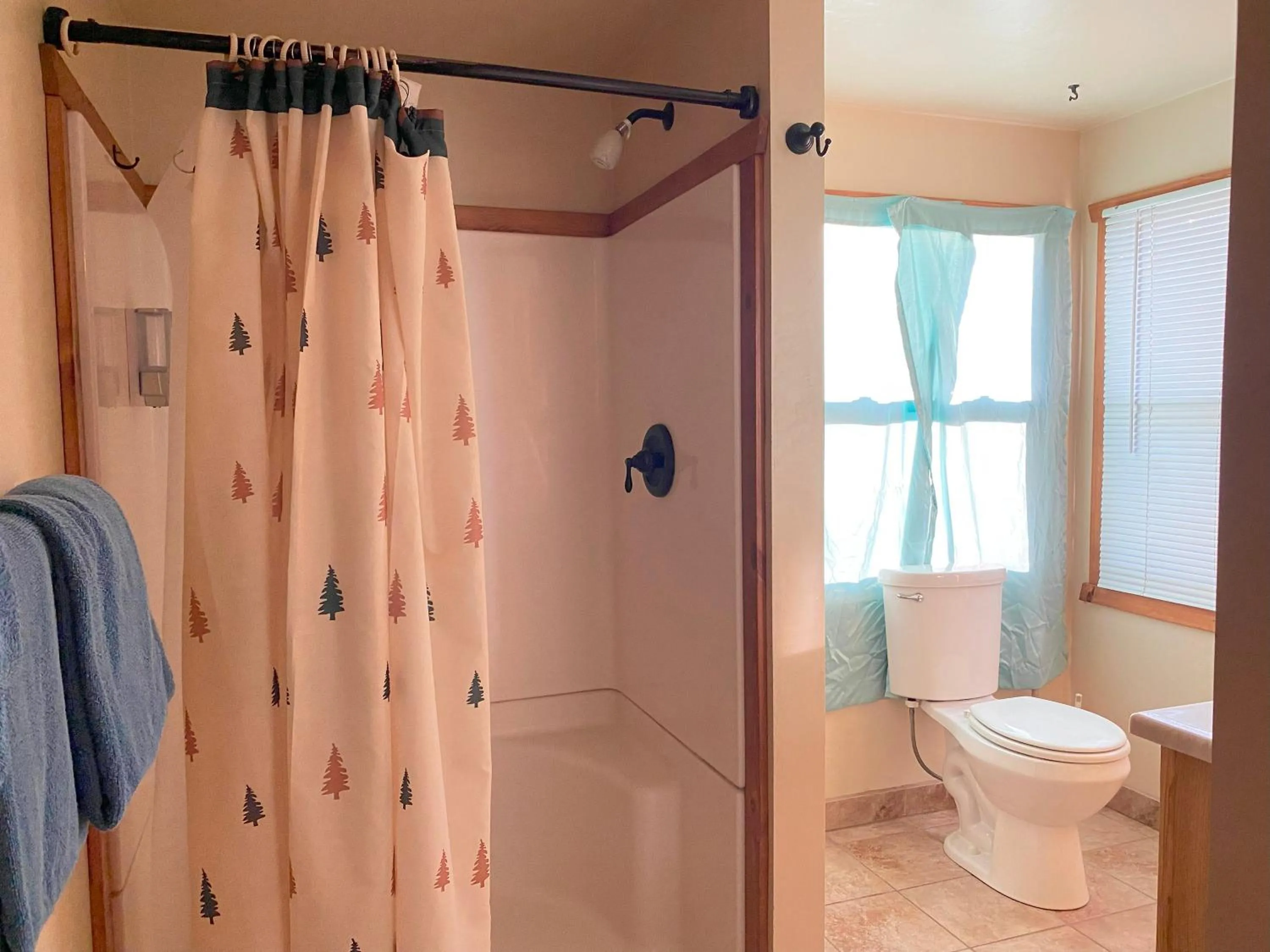 Shower in Blue Horizon Lodge