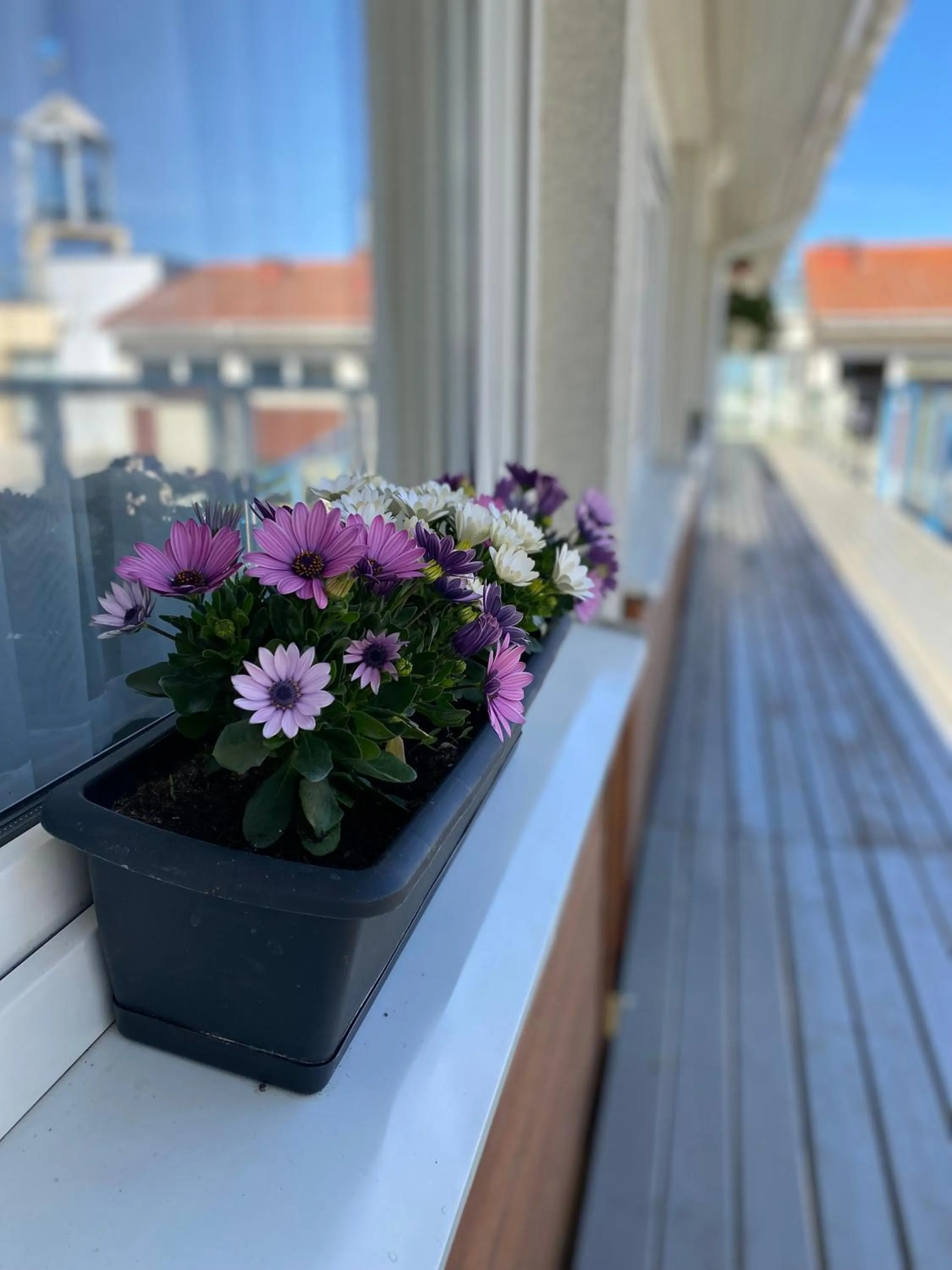 Property building in Yacht Club Residence Sopot