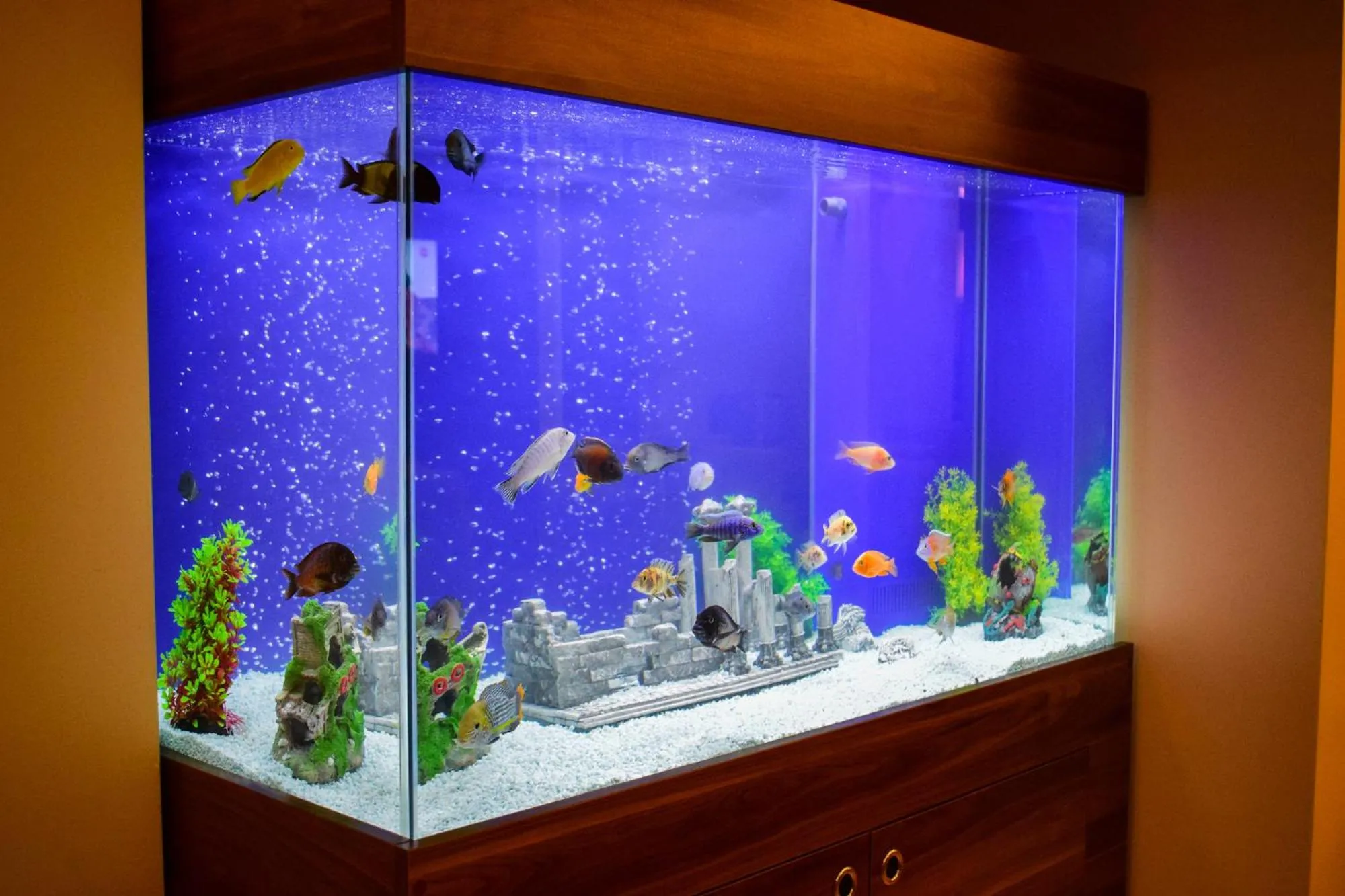 Restaurant/places to eat in Mekke Hotel Istanbul