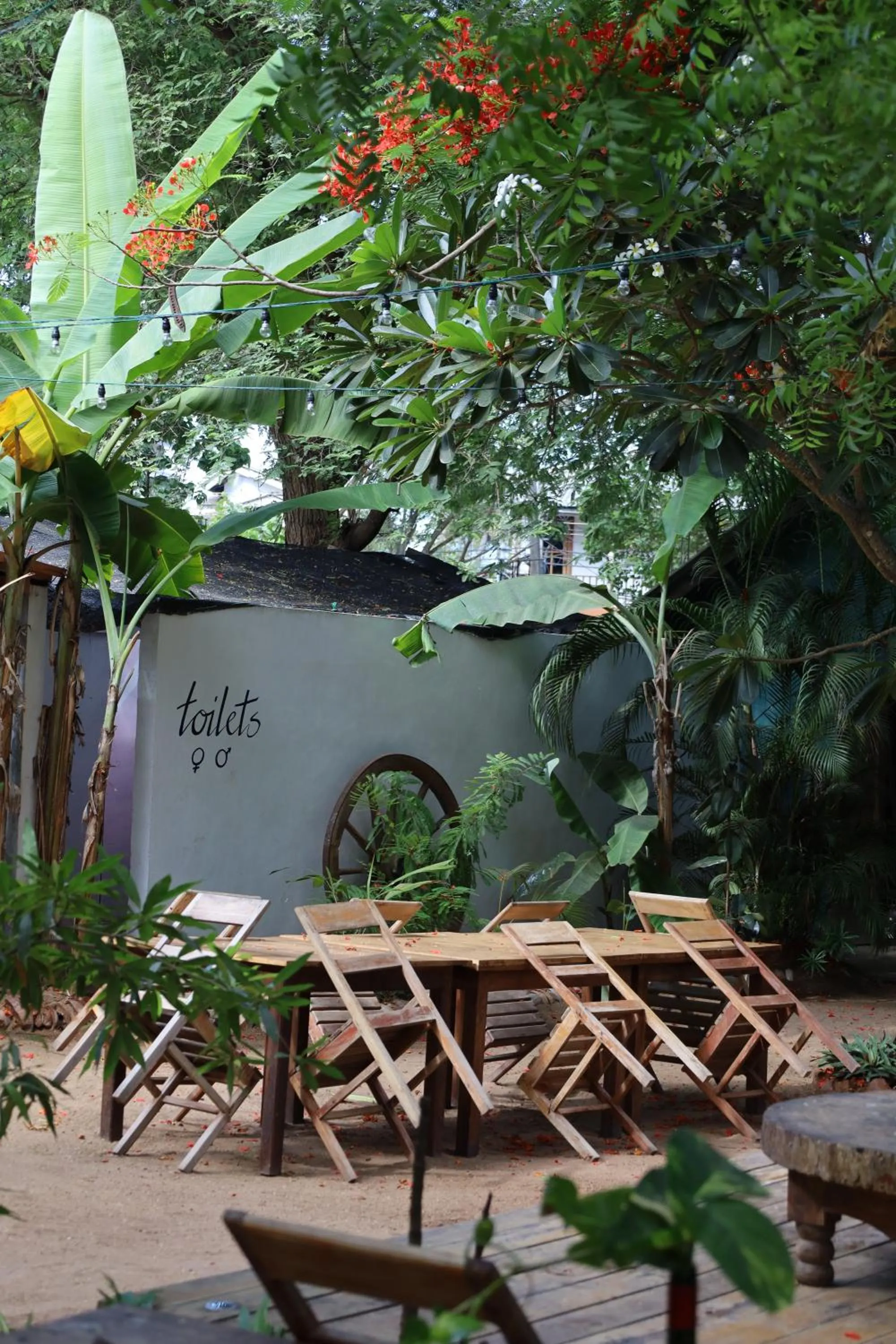 Garden in Waypoint Arugam Bay
